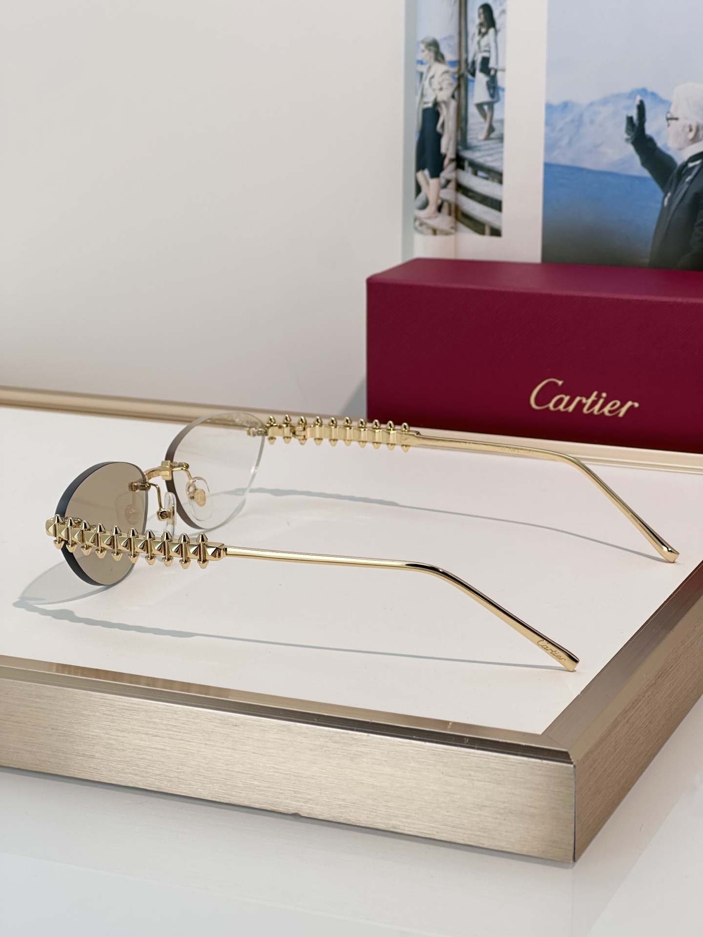 Designer Sunglasses CT0543S