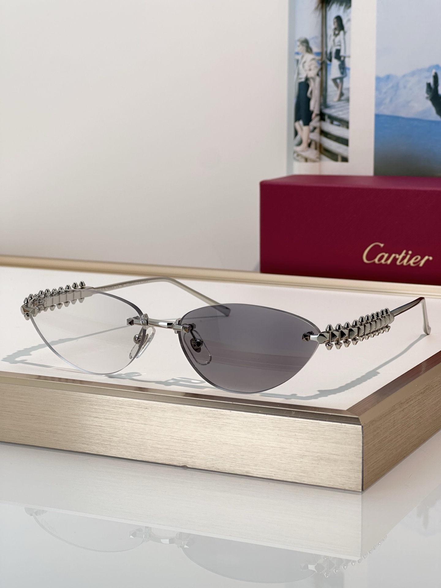 Designer Sunglasses CT0543S