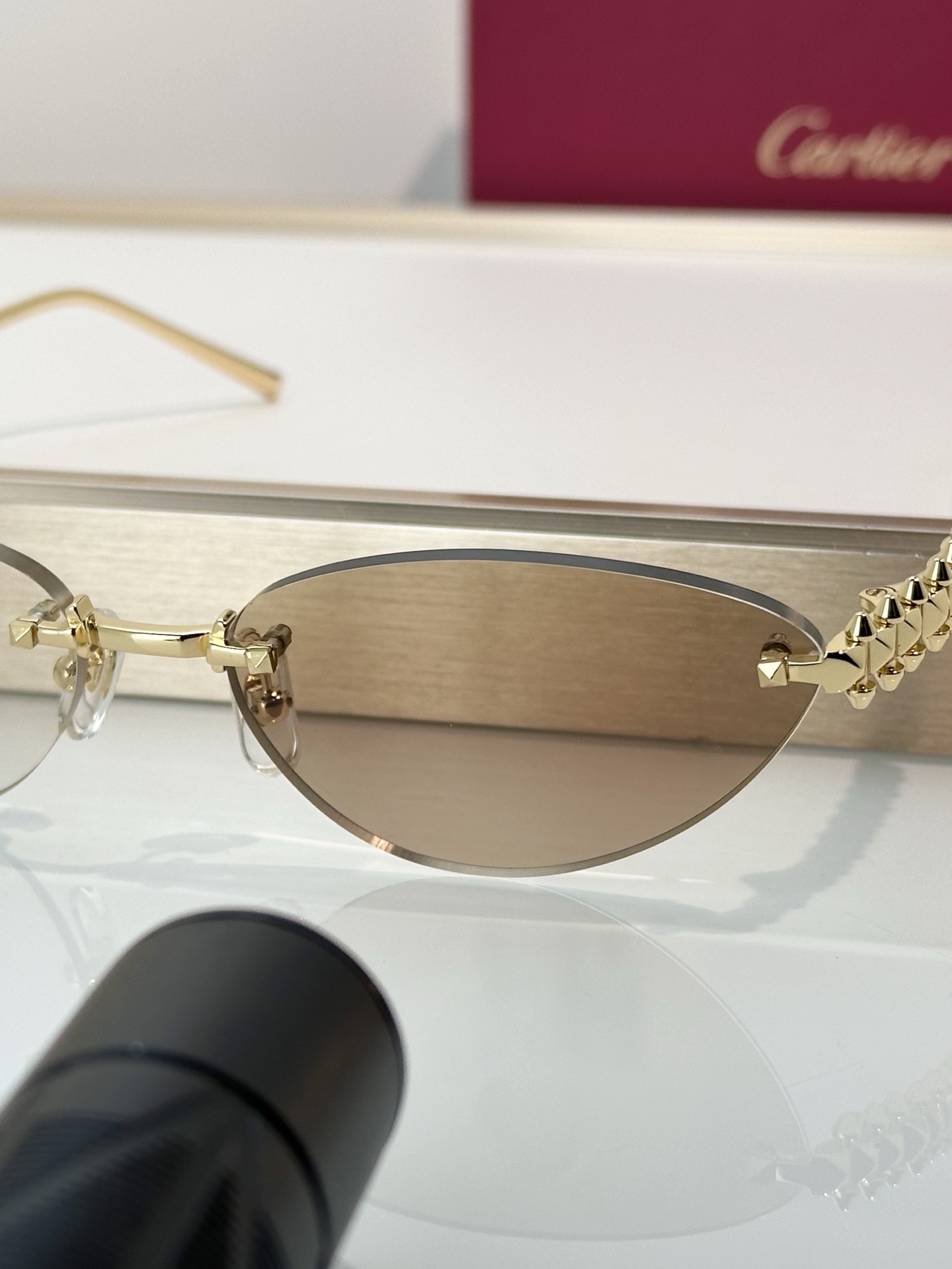 Designer Sunglasses CT0543S