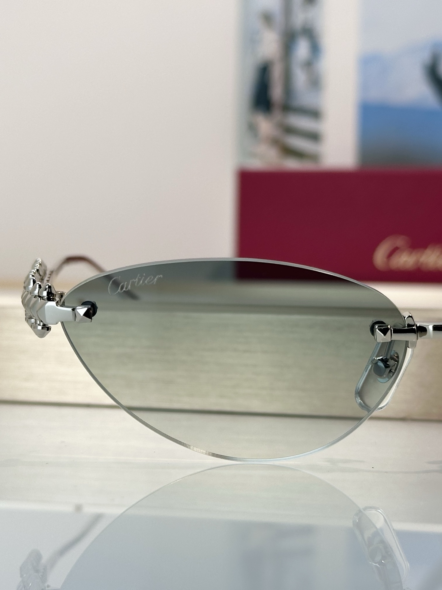 Designer Sunglasses CT0543S