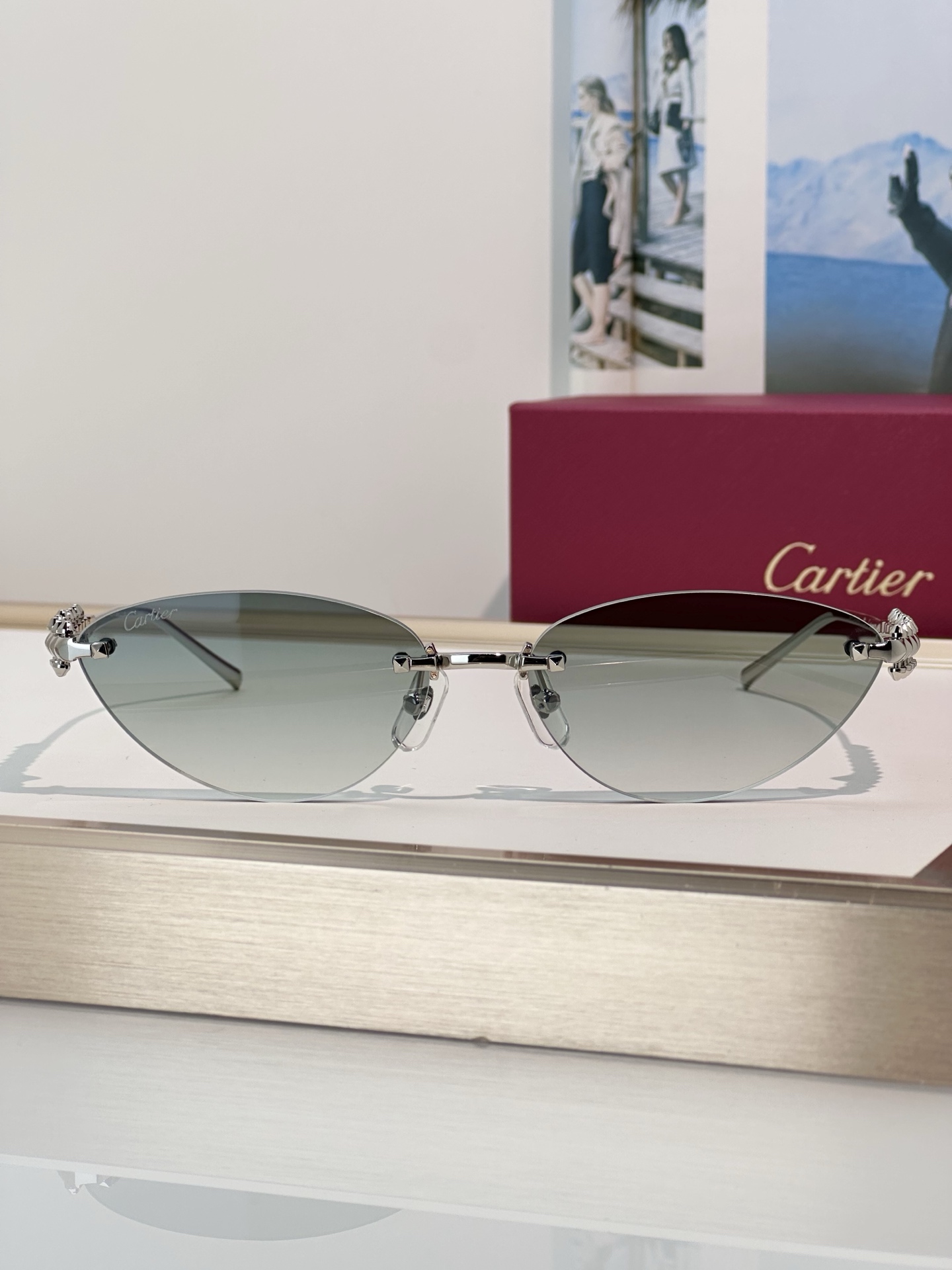 Designer Sunglasses CT0543S