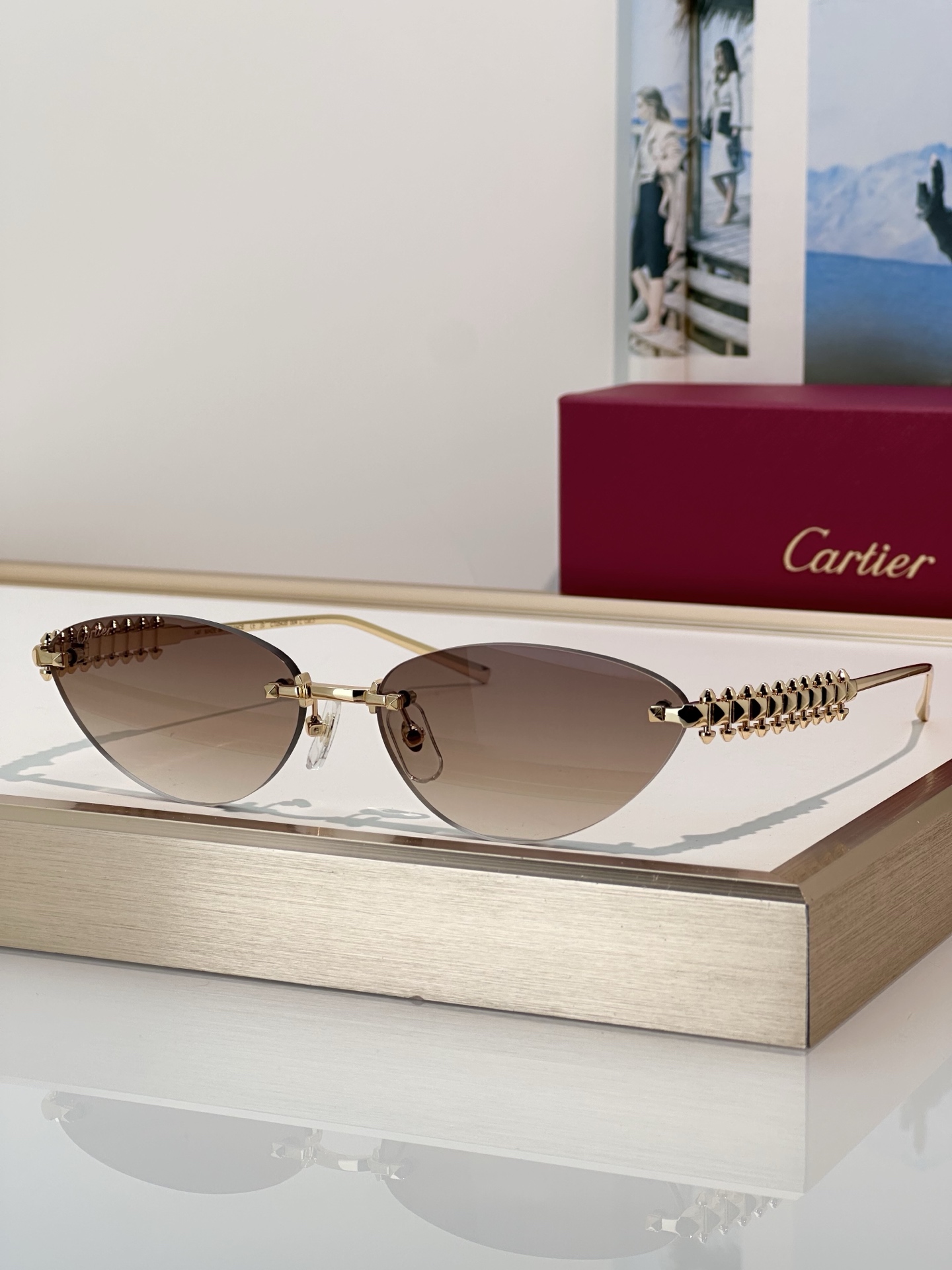 Designer Sunglasses CT0543S
