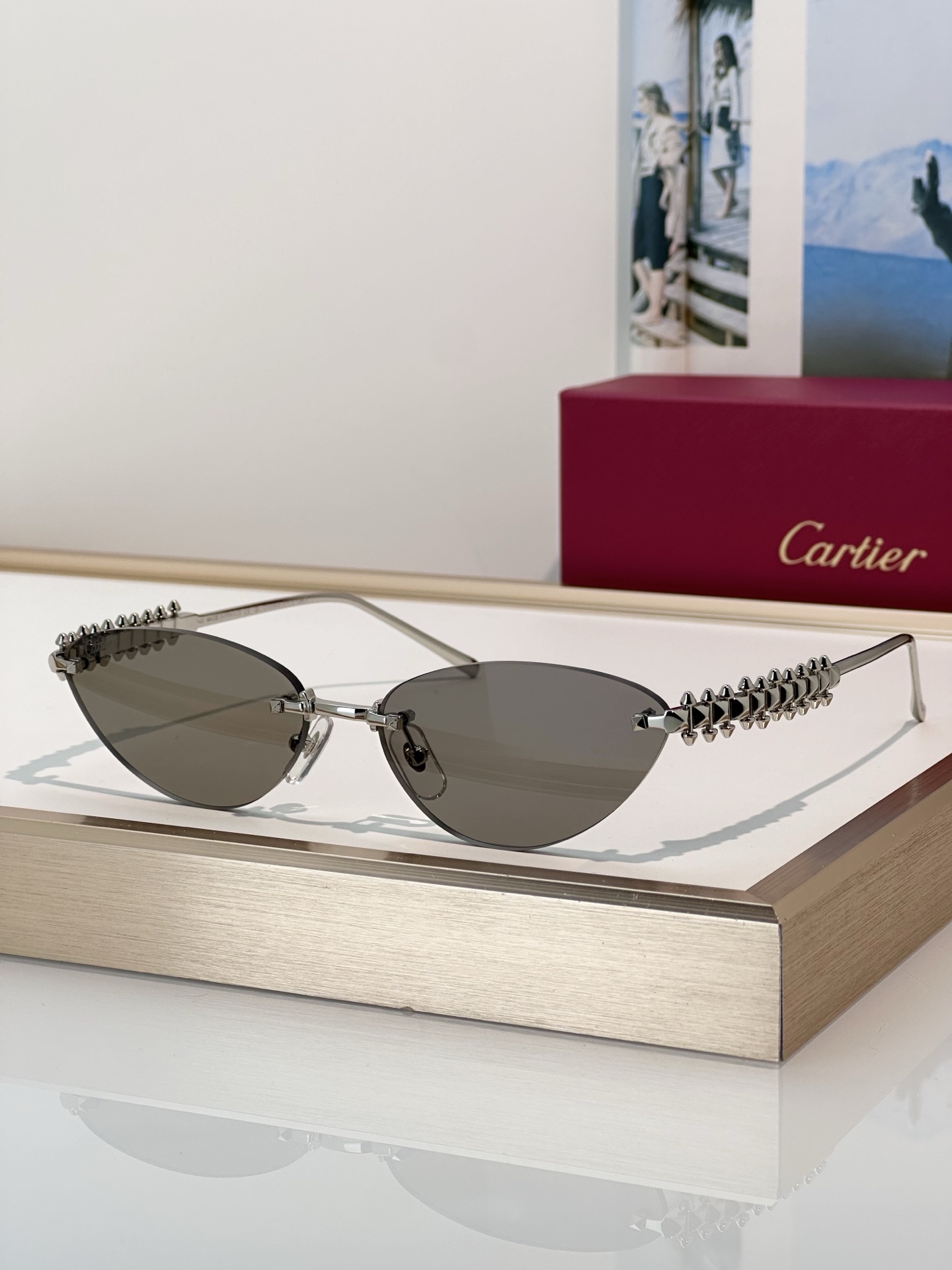 Designer Sunglasses CT0543S
