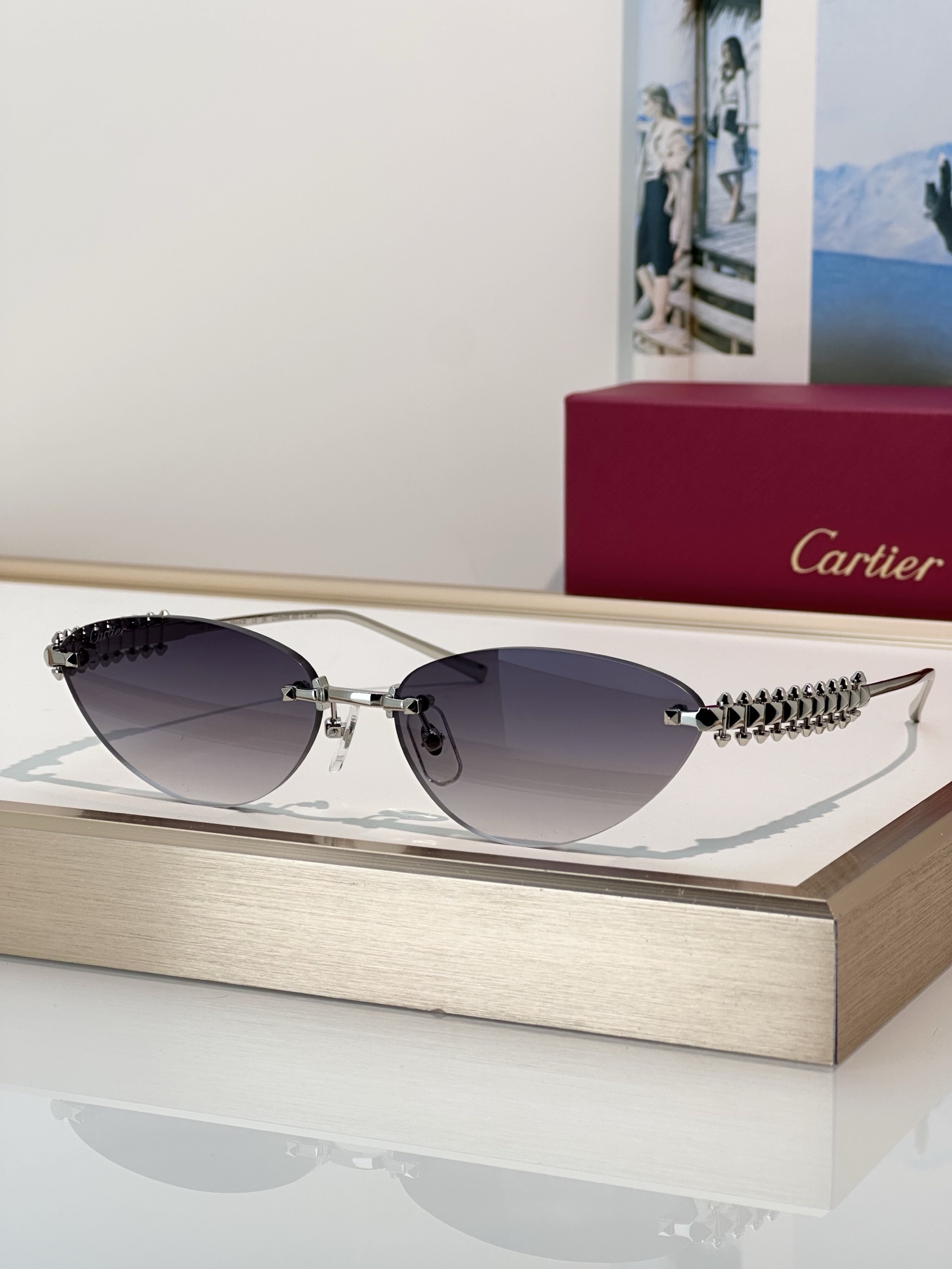 Designer Sunglasses CT0543S