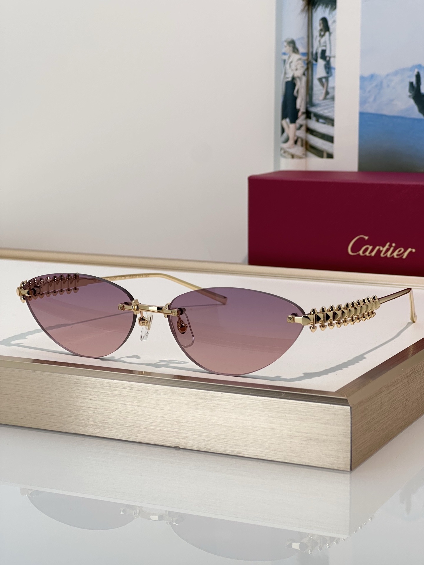 Designer Sunglasses CT0543S