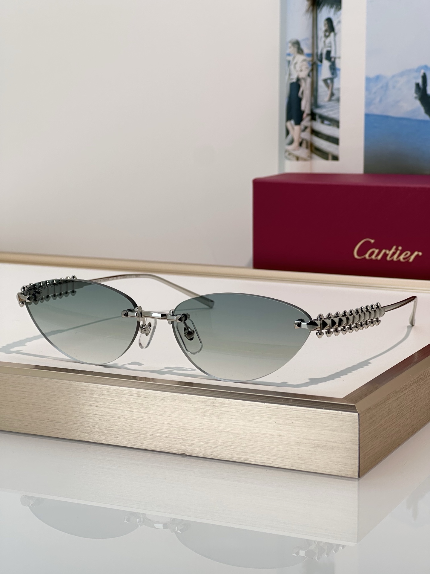 Designer Sunglasses CT0543S