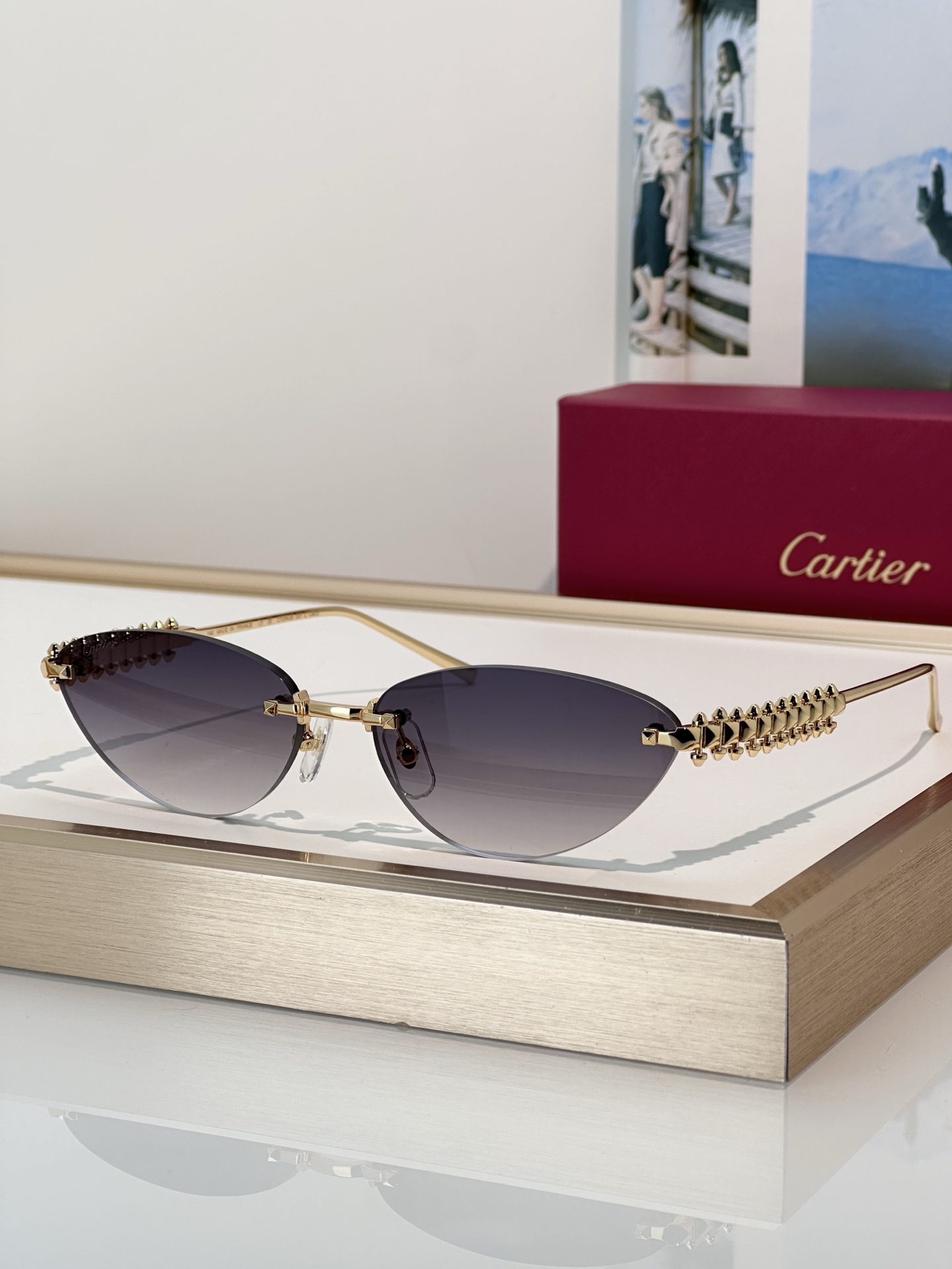 Designer Sunglasses CT0543S