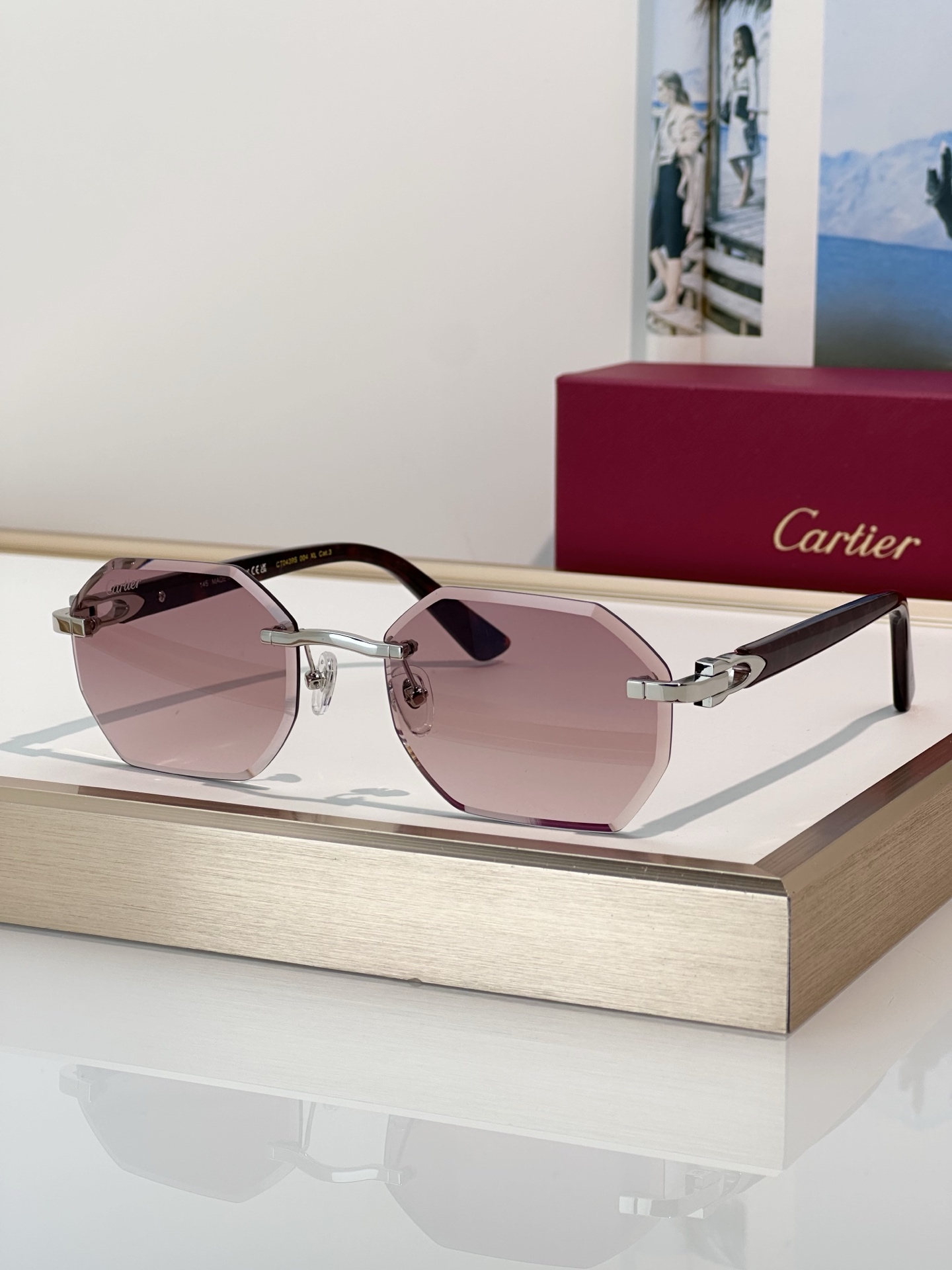 Designer Sunglasses CT0439S