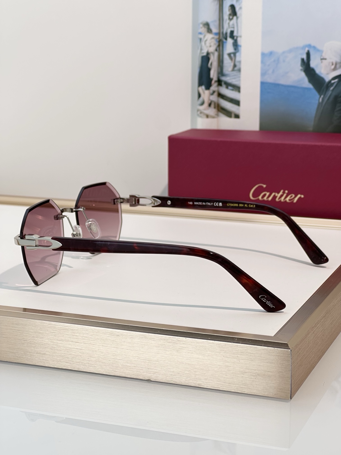Designer Sunglasses CT0439S