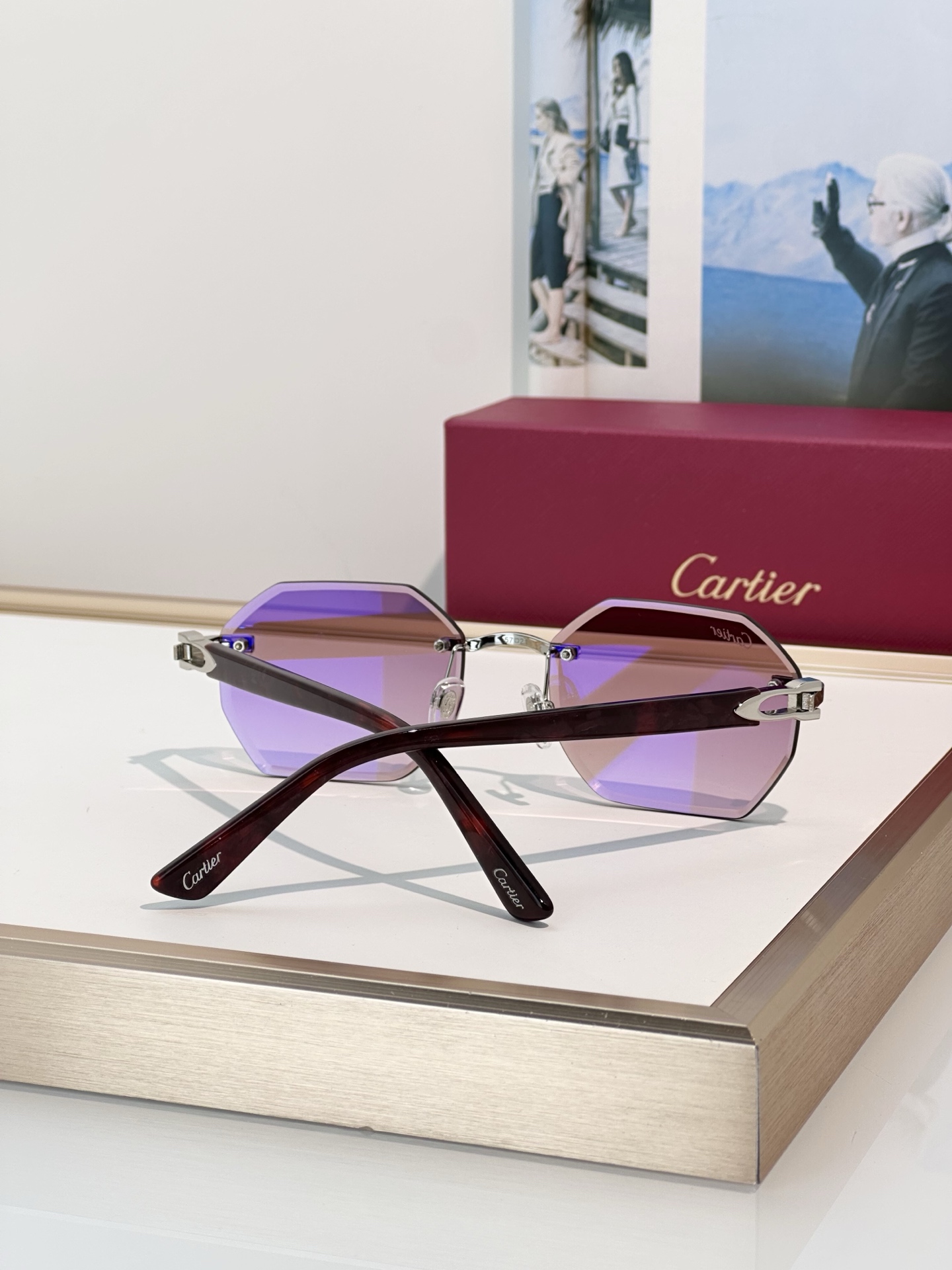 Designer Sunglasses CT0439S