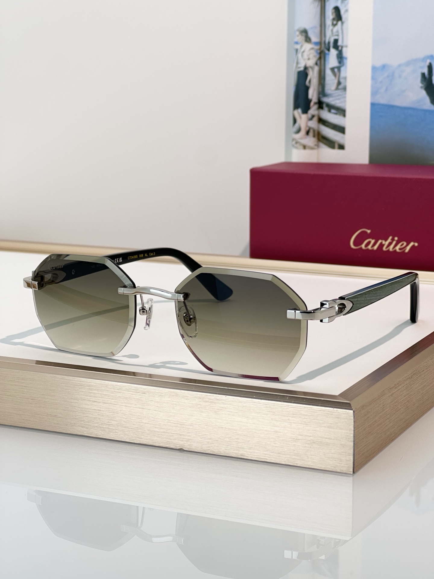 Designer Sunglasses CT0439S