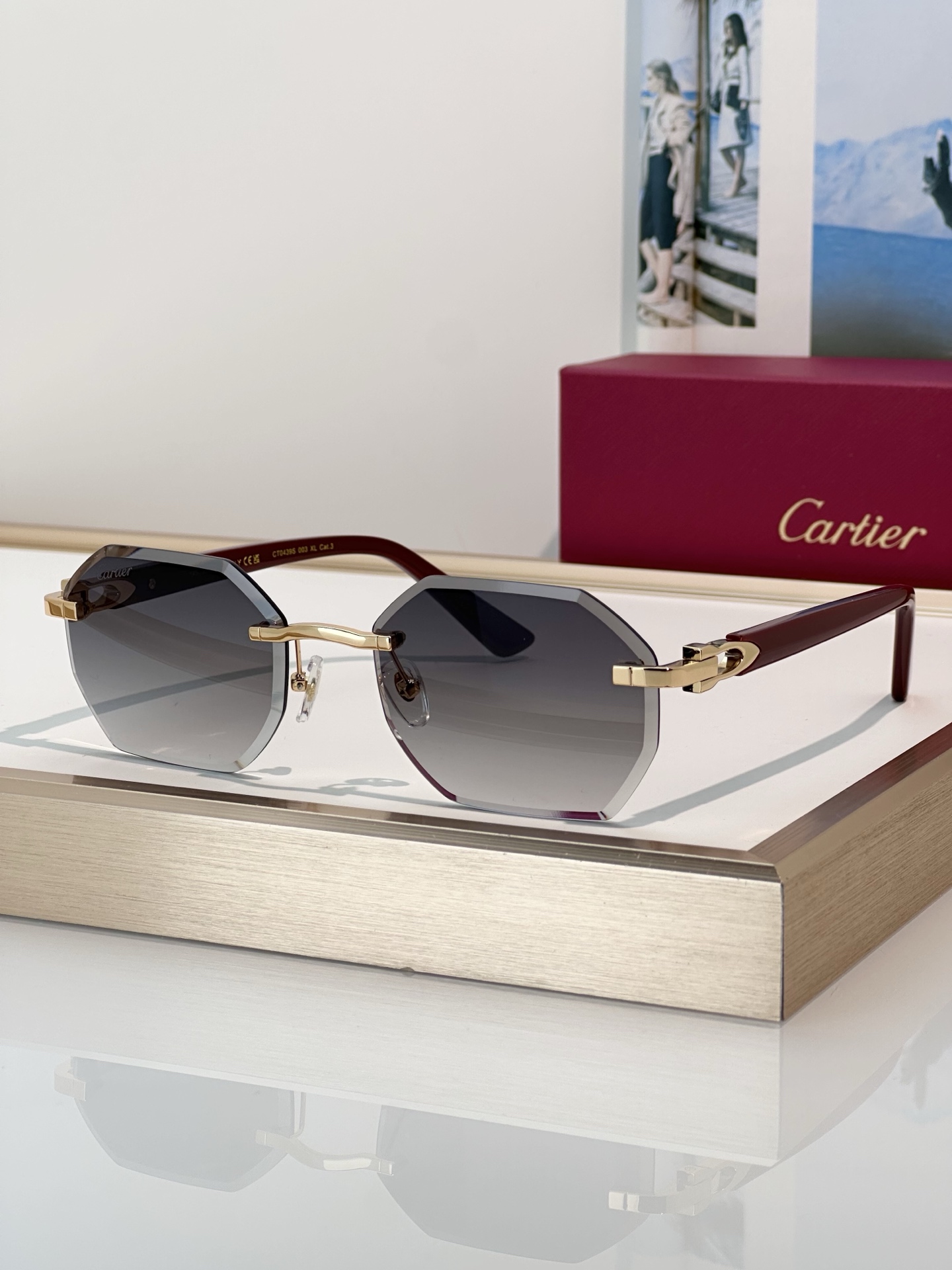 Designer Sunglasses CT0439S