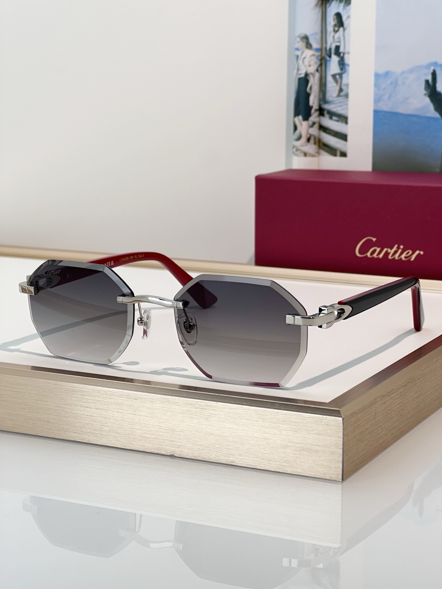 Designer Sunglasses CT0439S