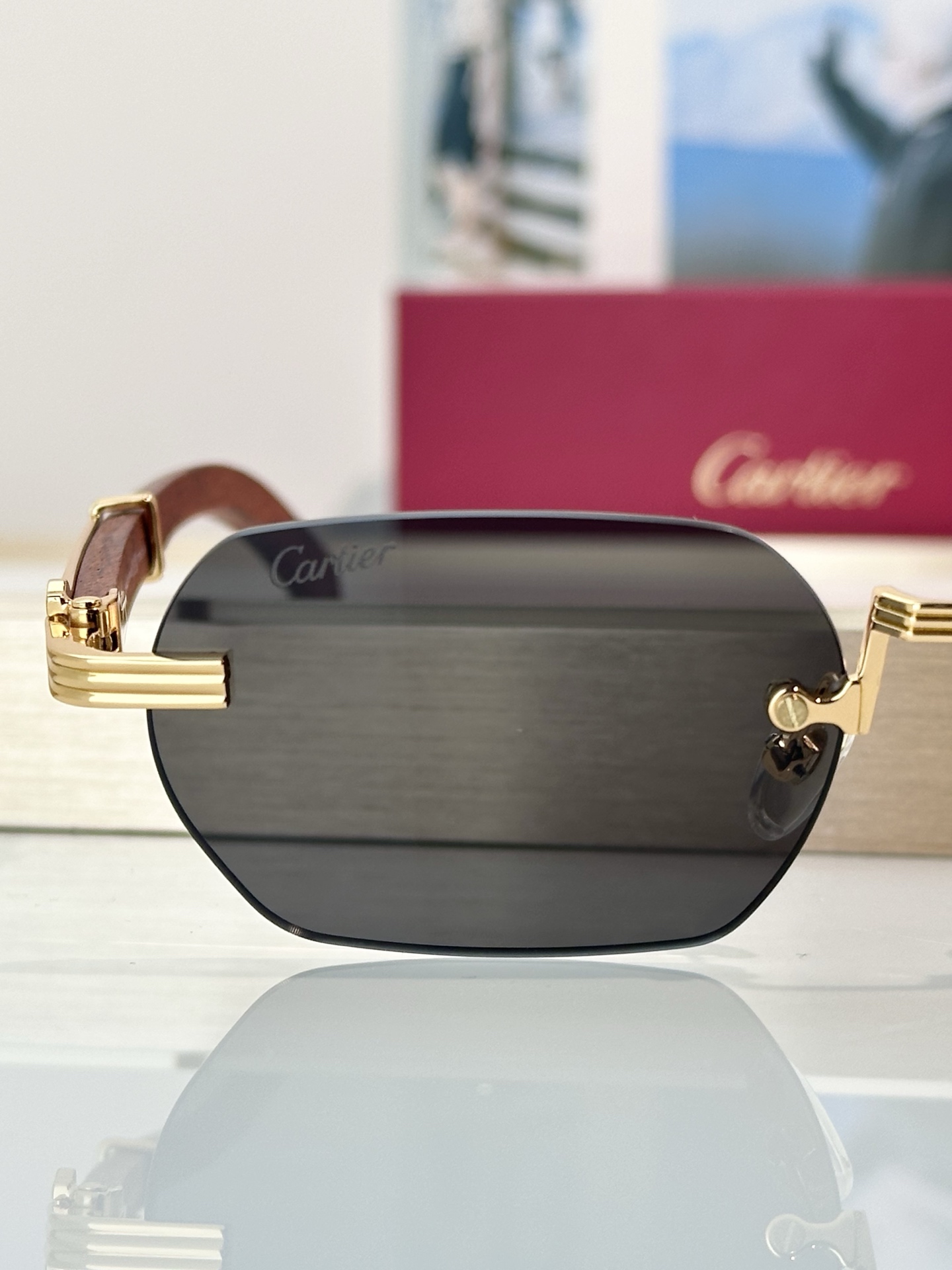 Designer Sunglasses CT0362S