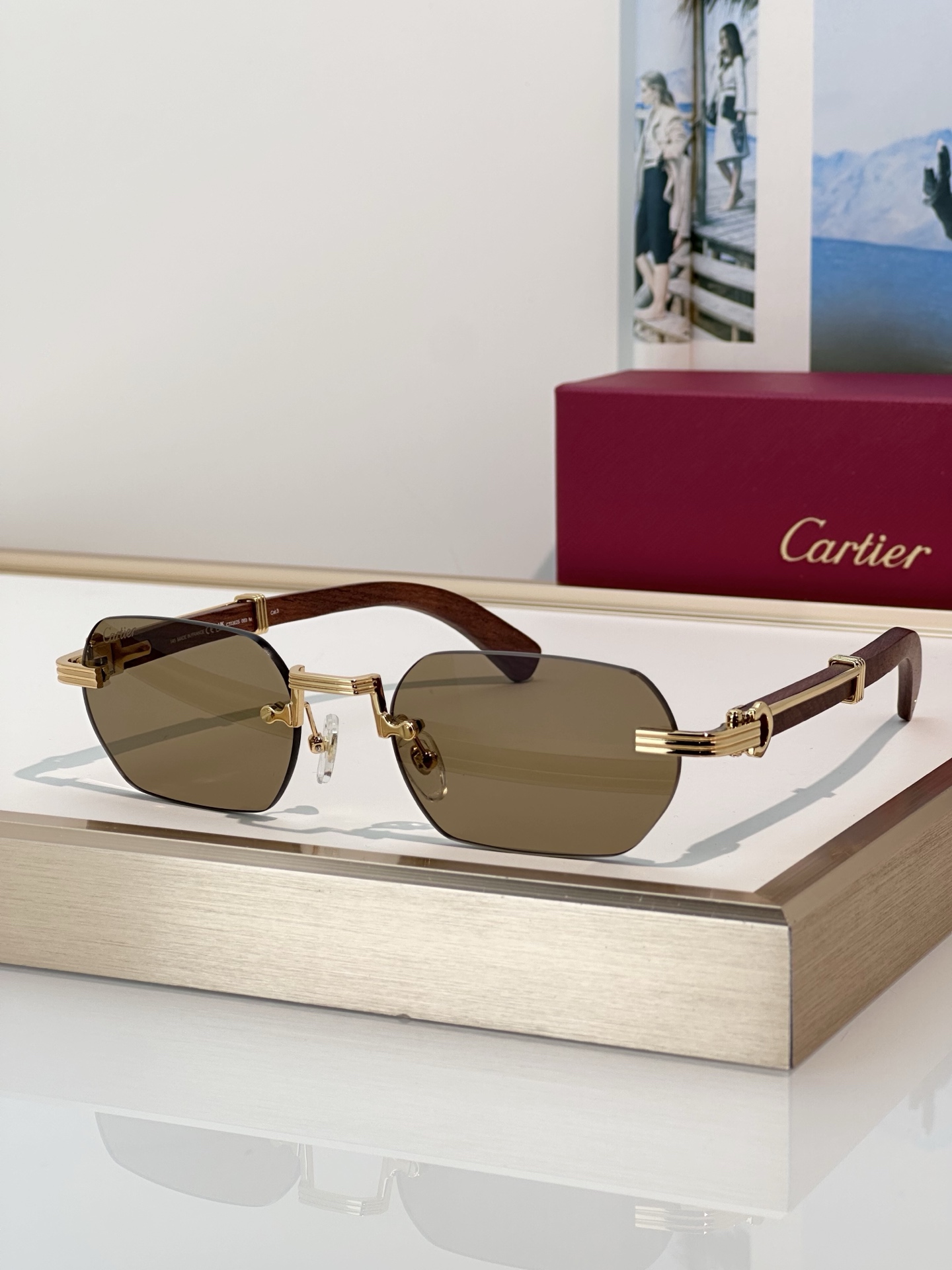 Designer Sunglasses CT0362S