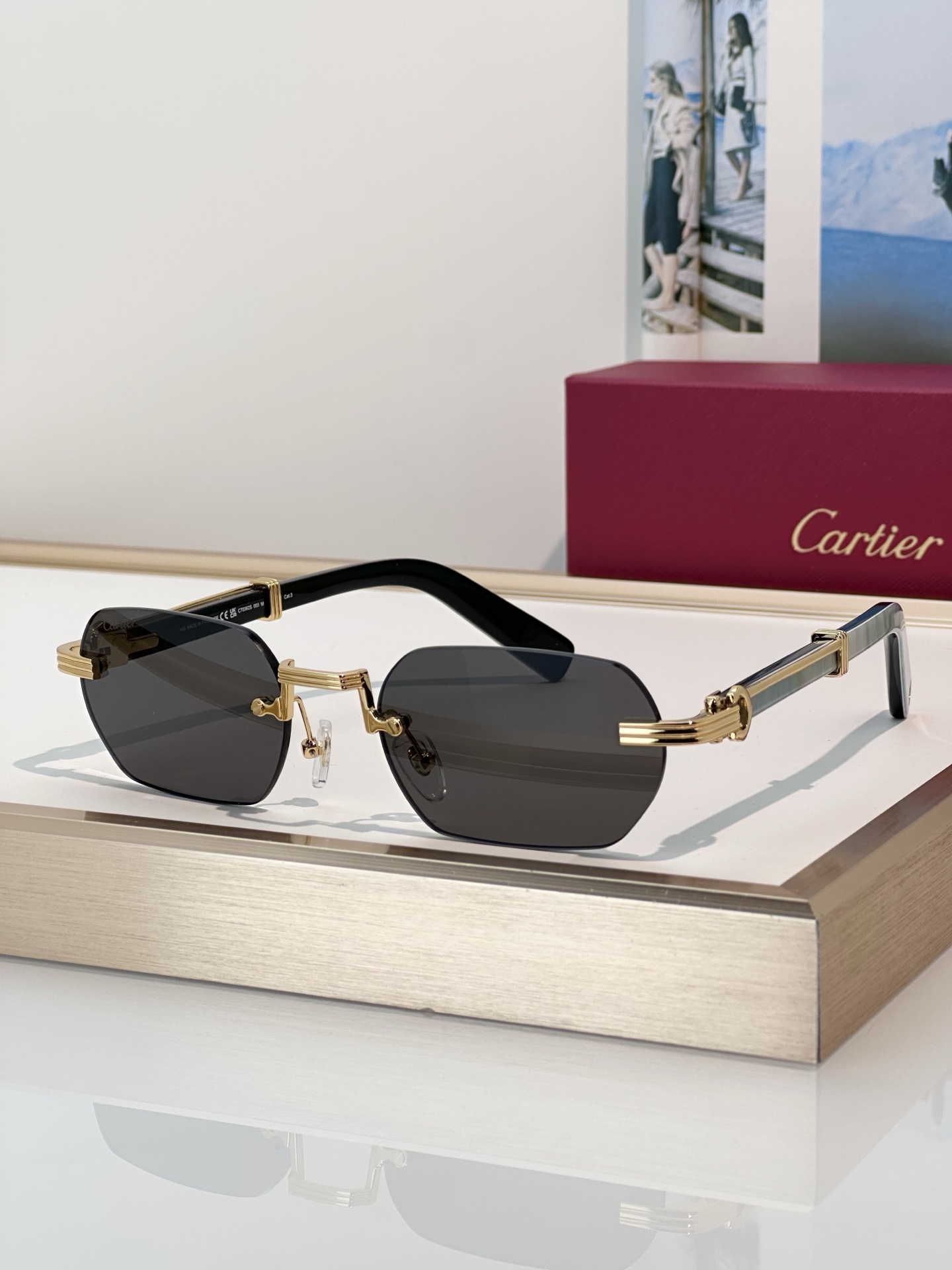 Designer Sunglasses CT0362S