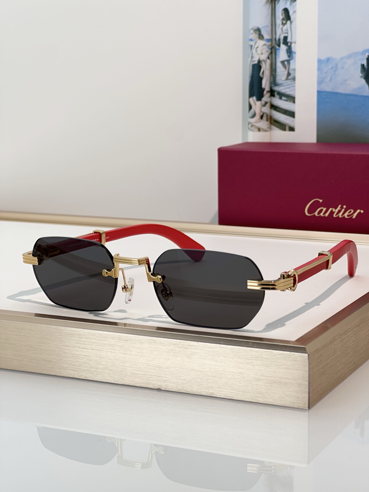 Designer Sunglasses CT0362S