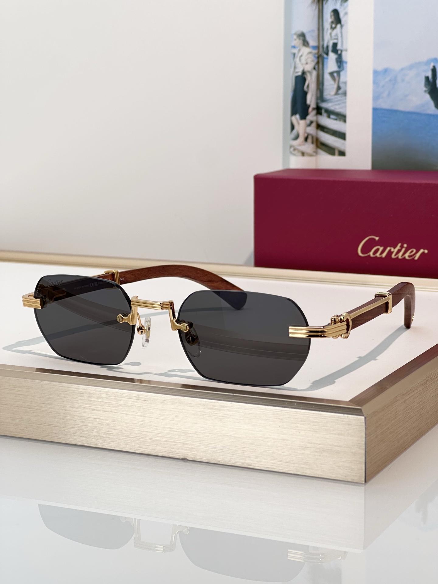Designer Sunglasses CT0362S