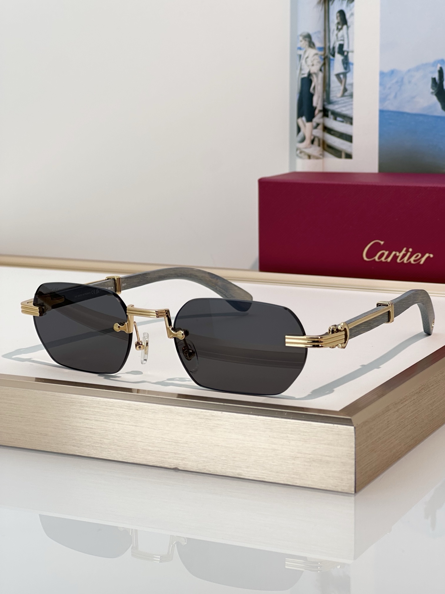 Designer Sunglasses CT0362S
