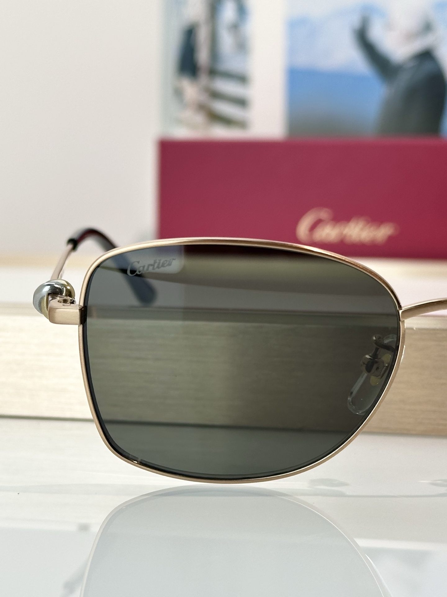 Designer Sunglasses CT0223O