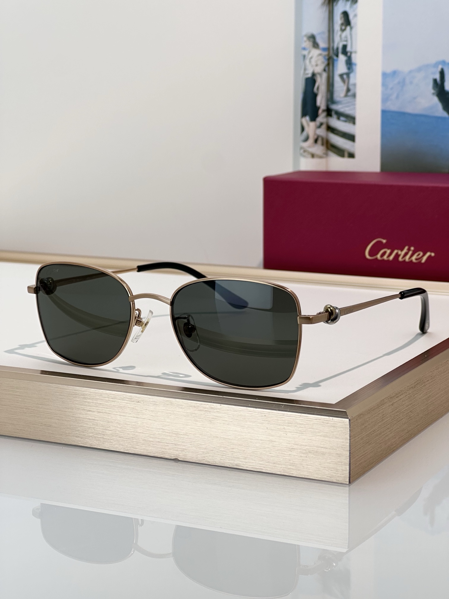 Designer Sunglasses CT0223O