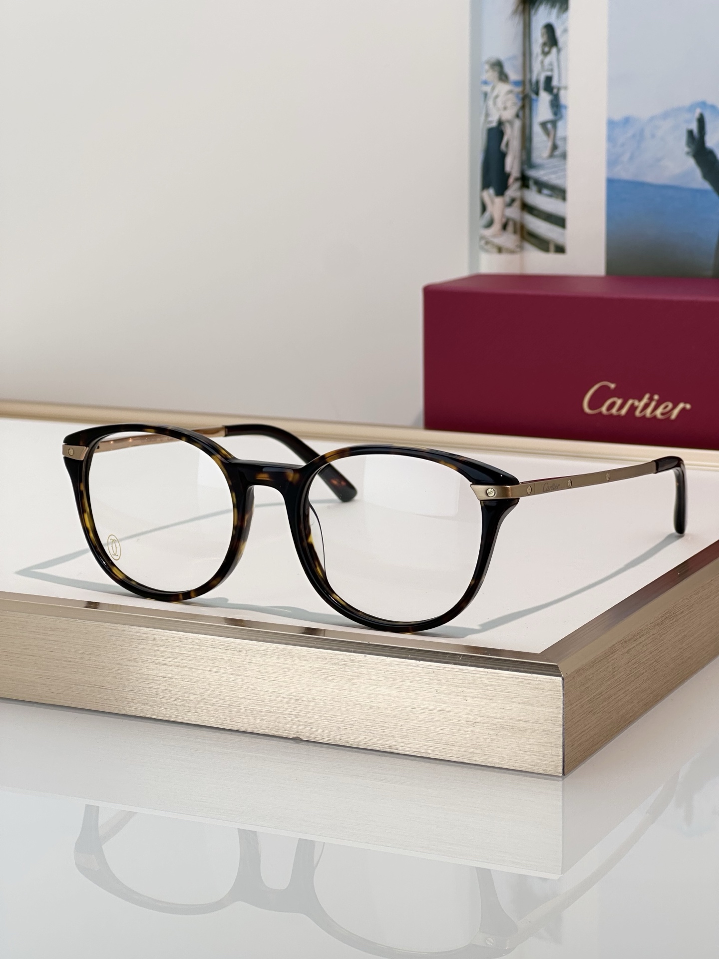 Designer Sunglasses CT0107O
