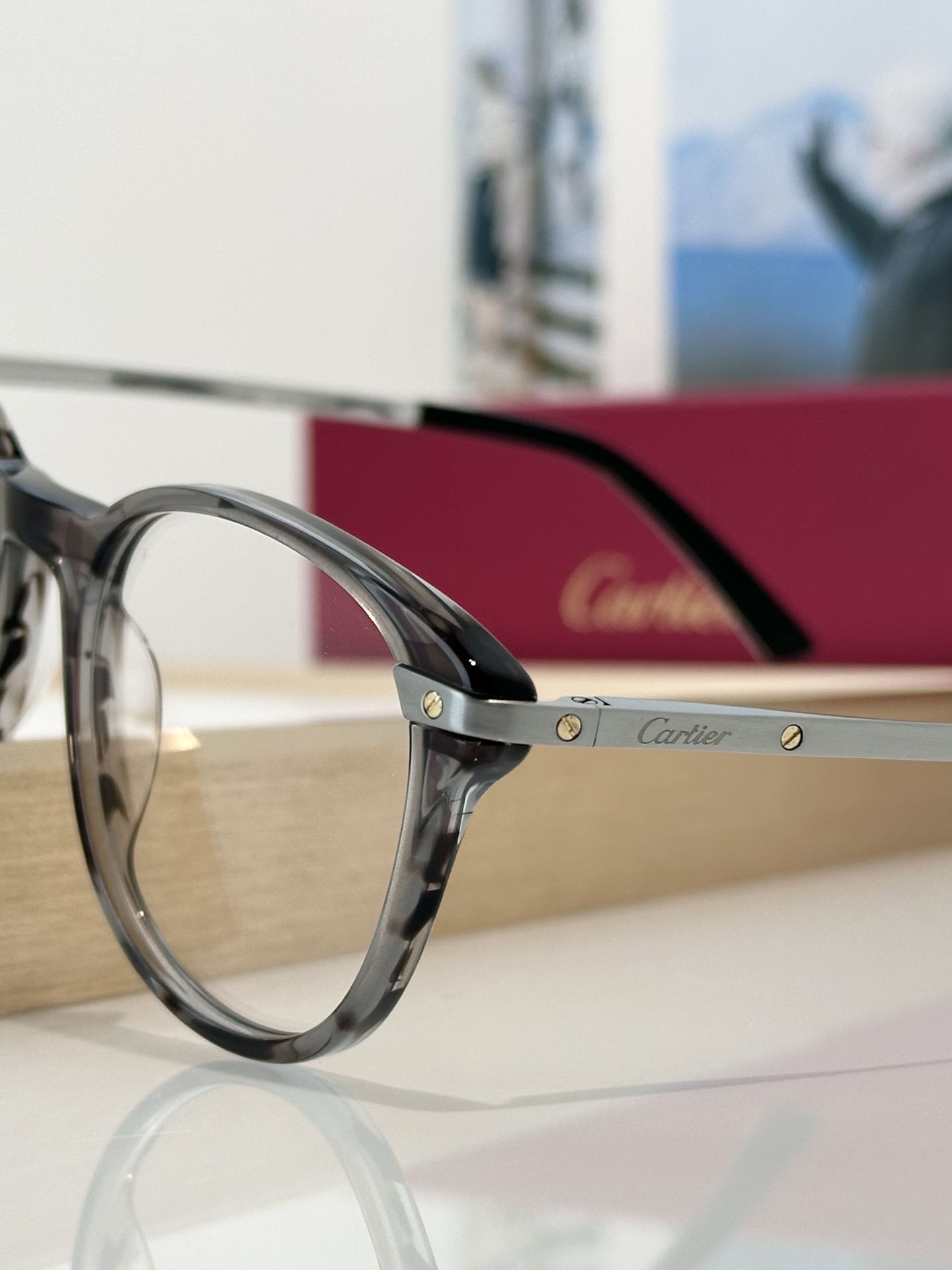 Designer Sunglasses CT0107O