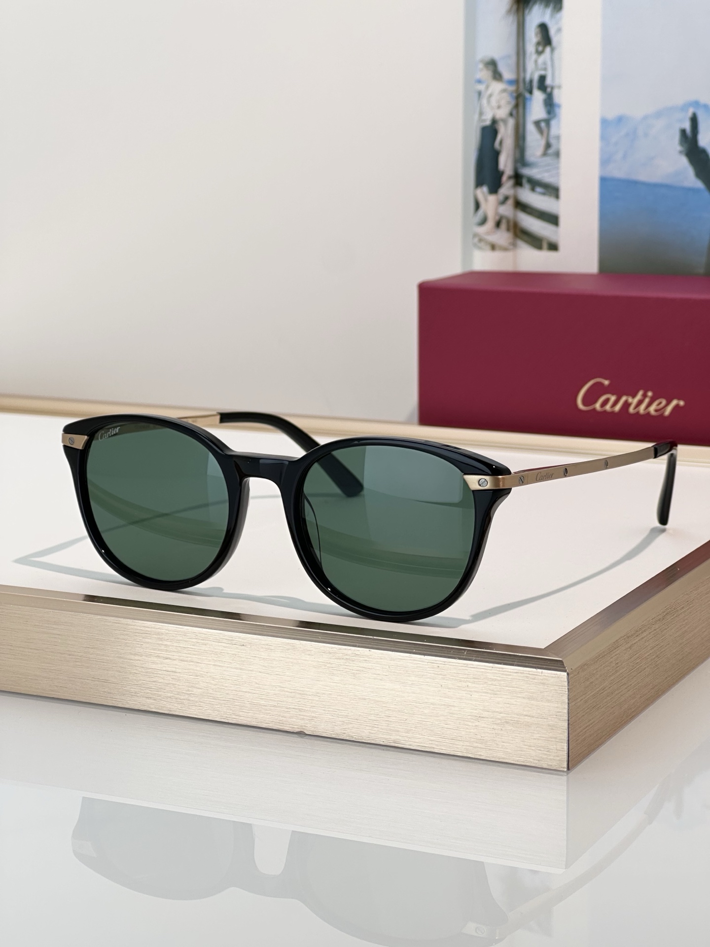 Designer Sunglasses CT0107O