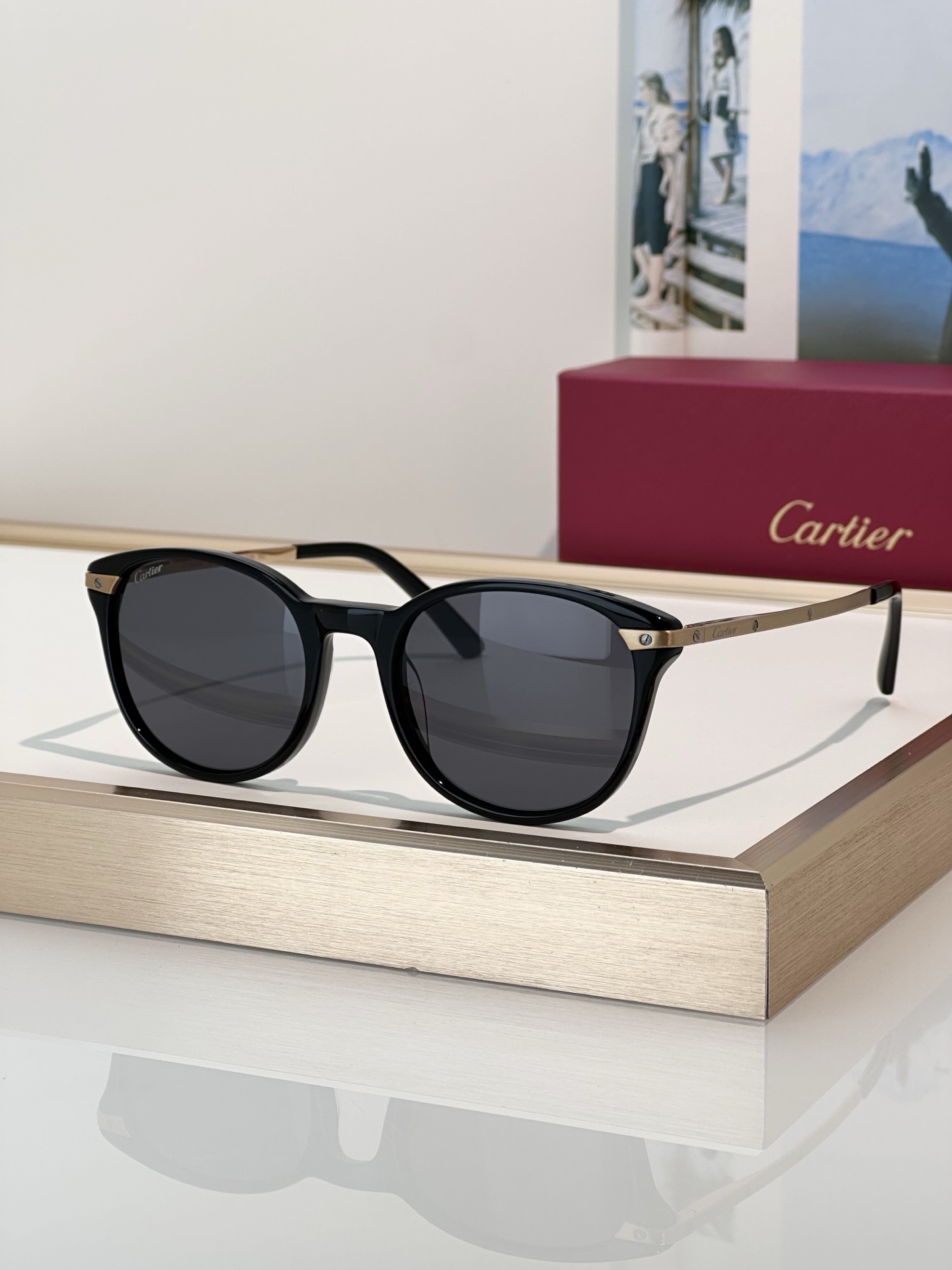 Designer Sunglasses CT0107O