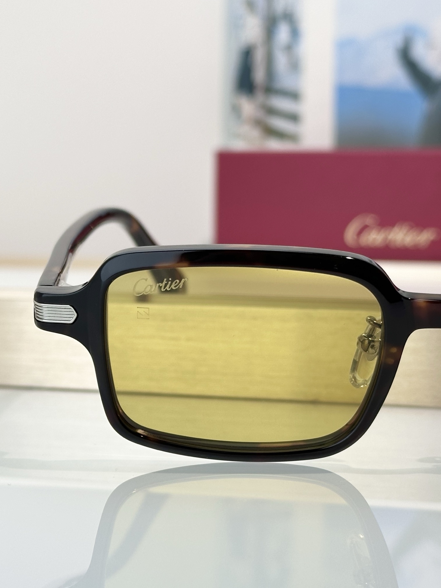 Designer Sunglasses CT0539S