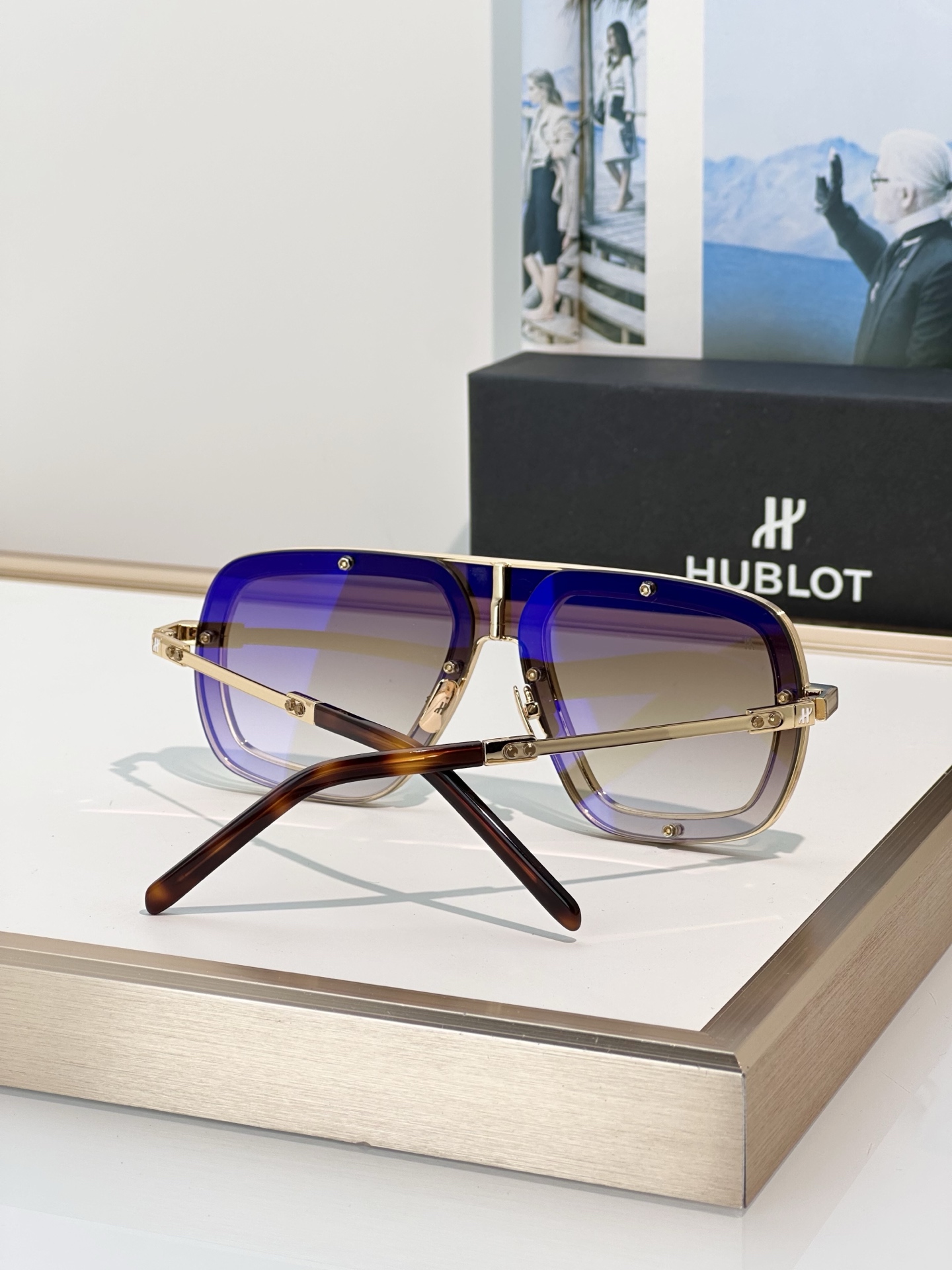 Designer Sunglasses H097