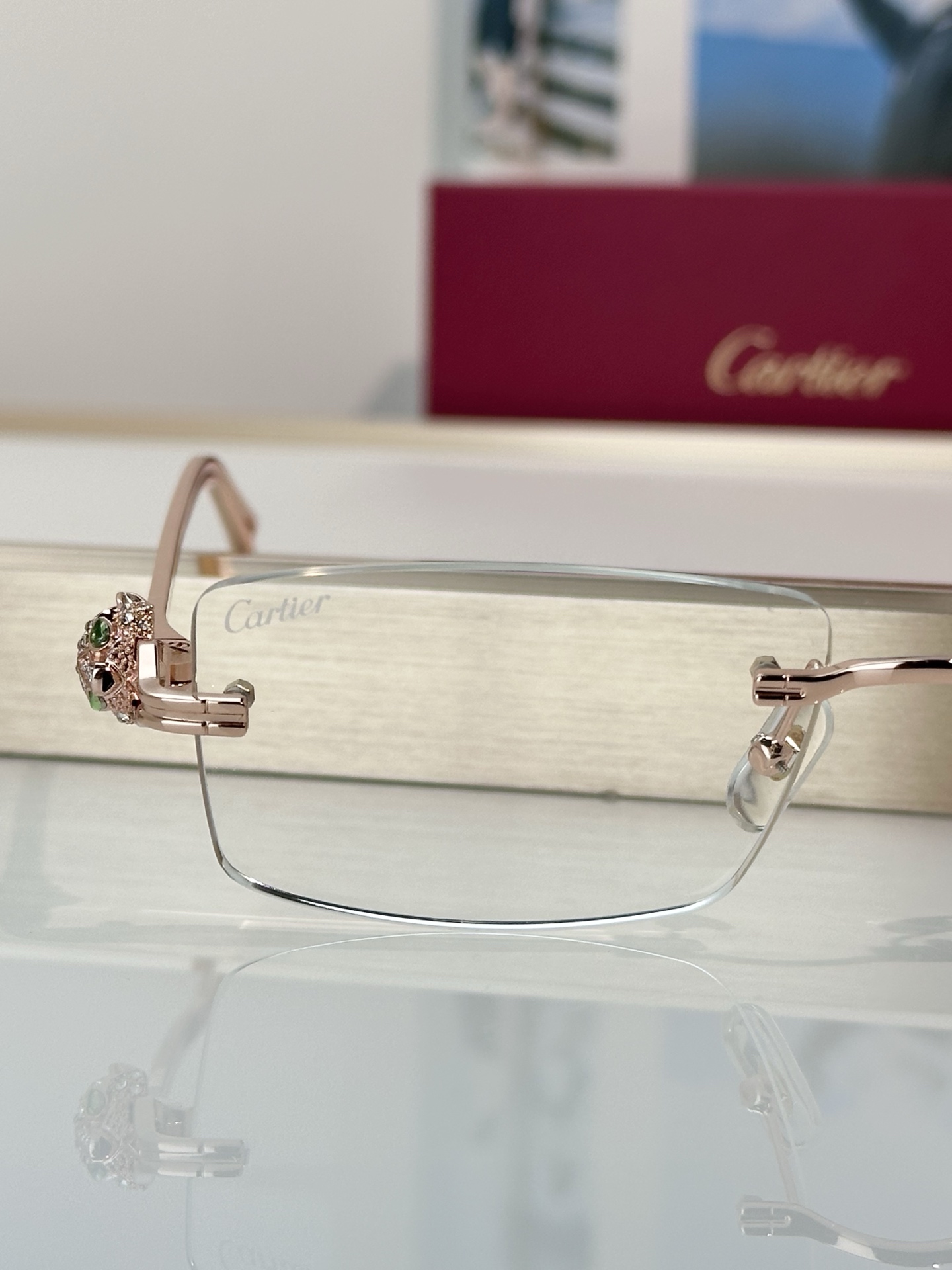 Designer Sunglasses CT0647S