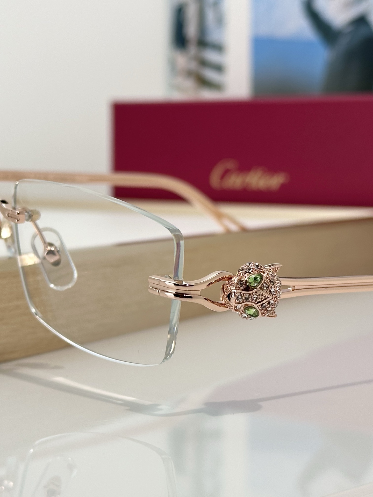 Designer Sunglasses CT0647S