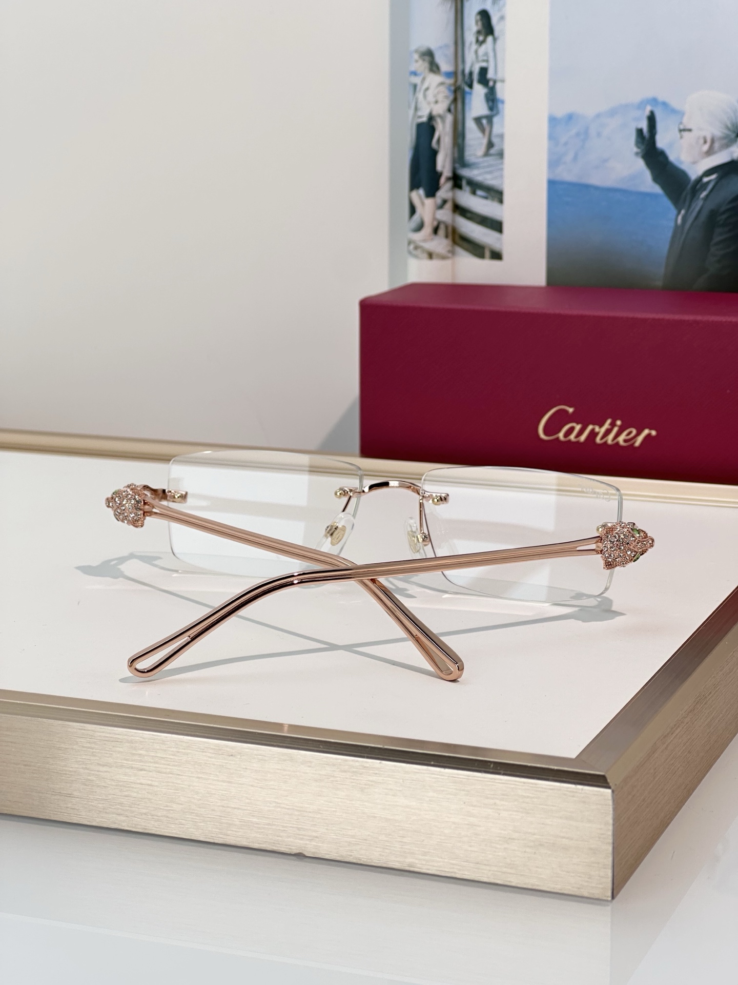 Designer Sunglasses CT0647S