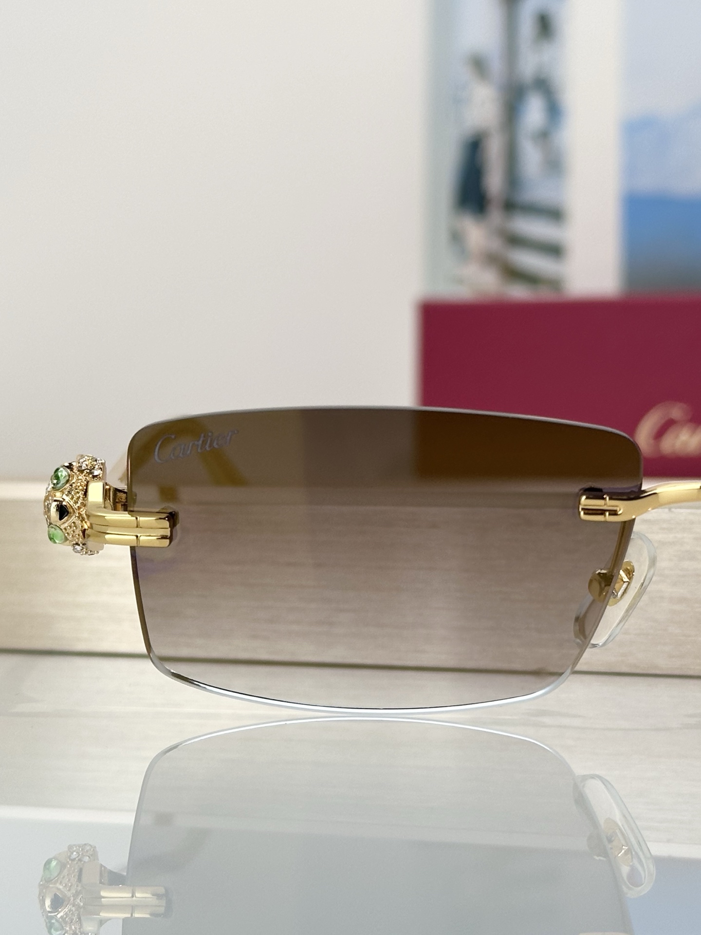 Designer Sunglasses CT0647S