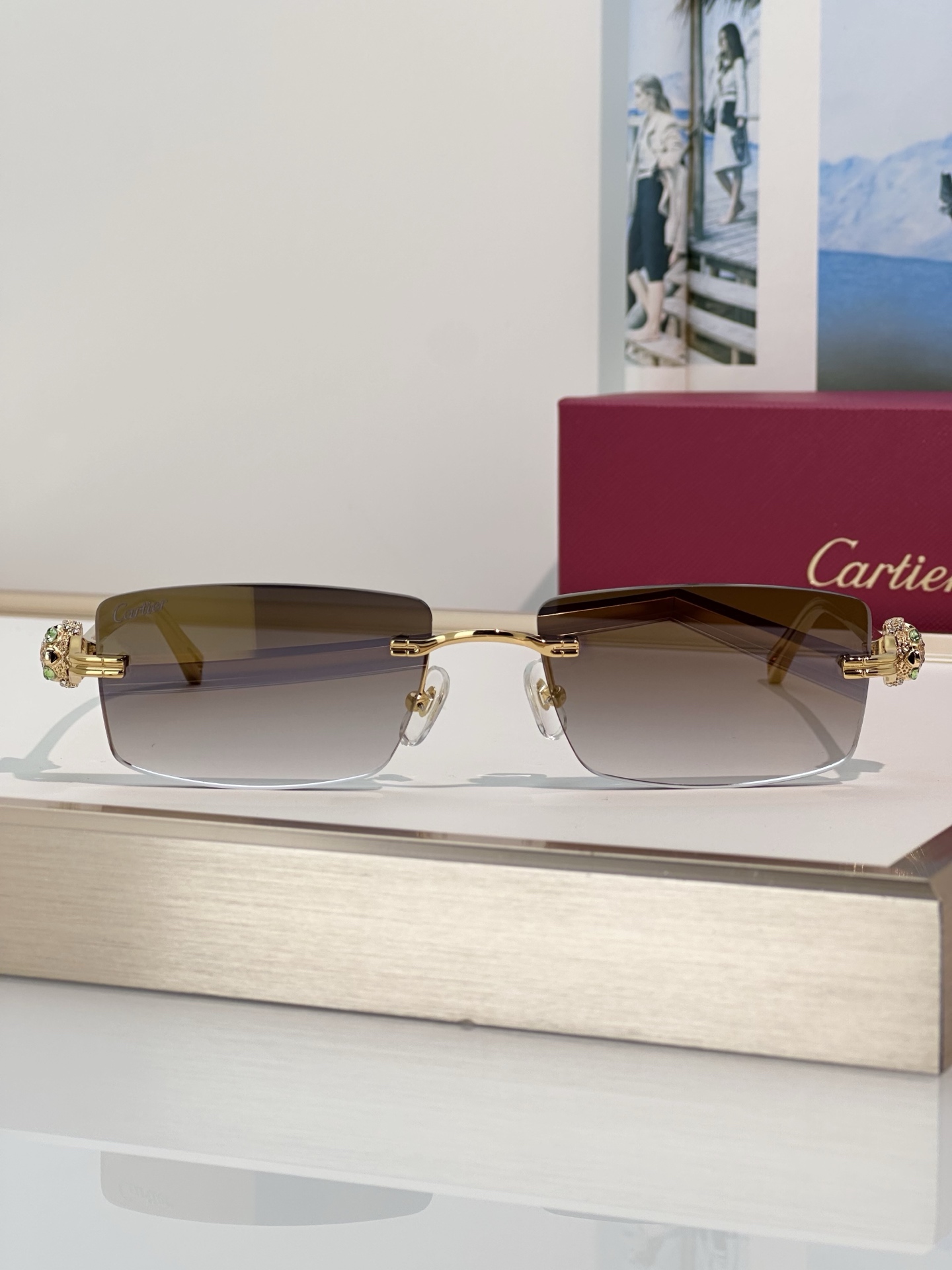 Designer Sunglasses CT0647S