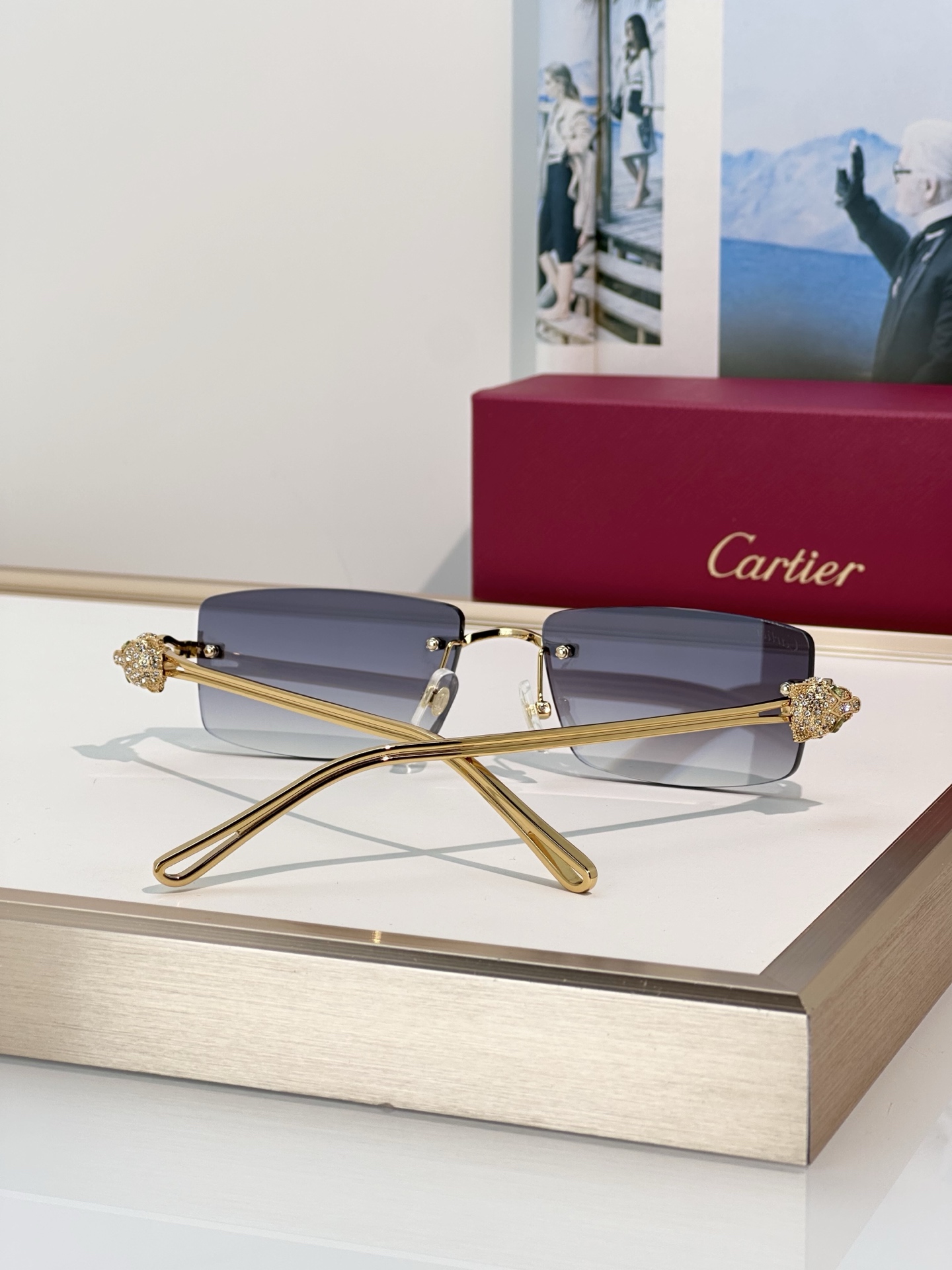 Designer Sunglasses CT0647S