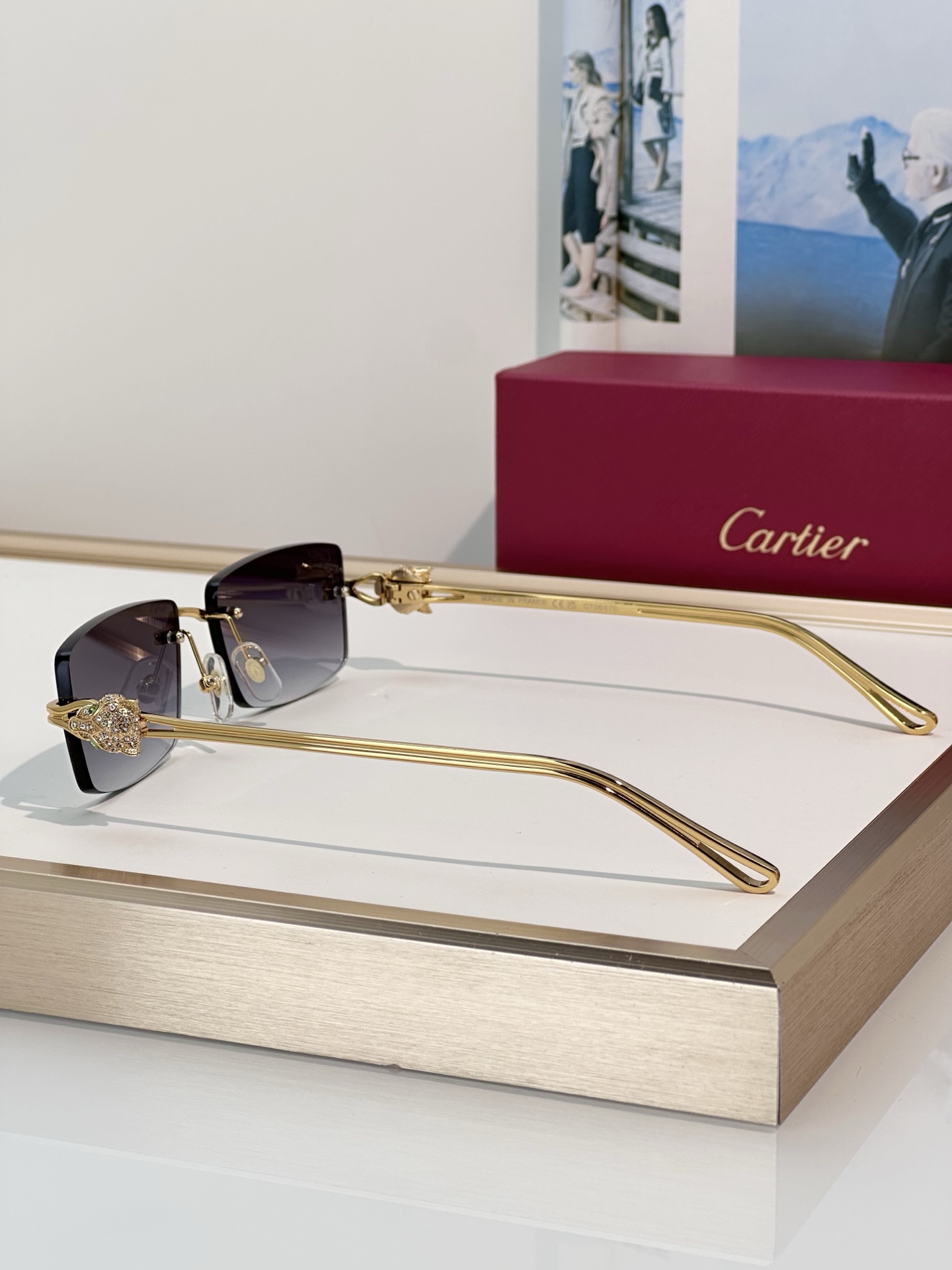 Designer Sunglasses CT0647S