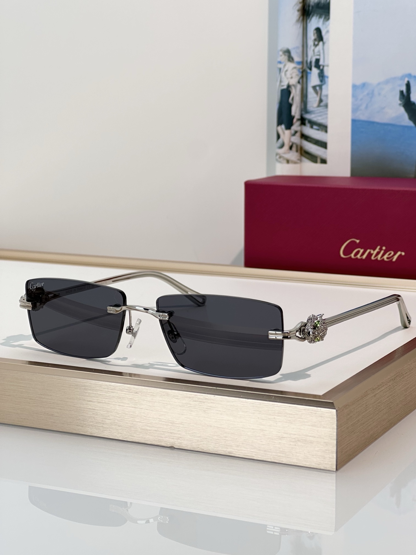 Designer Sunglasses CT0647S