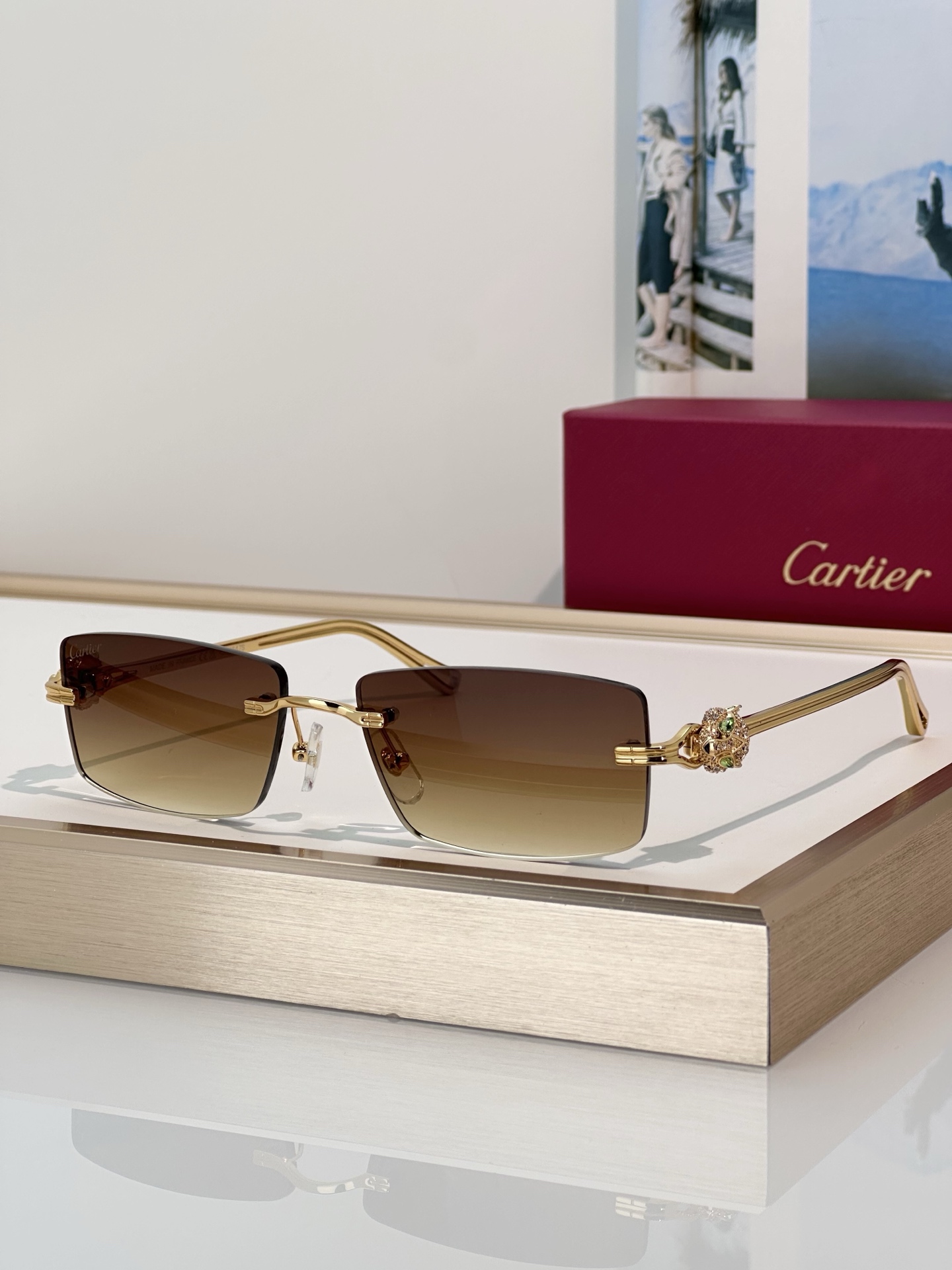 Designer Sunglasses CT0647S