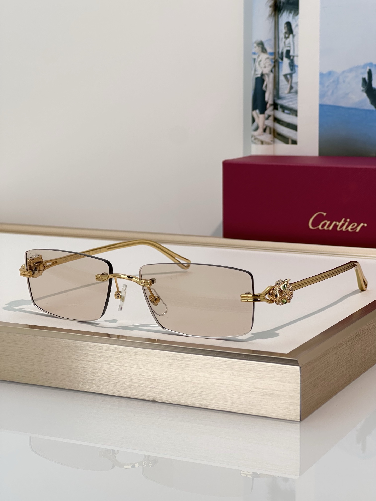 Designer Sunglasses CT0647S