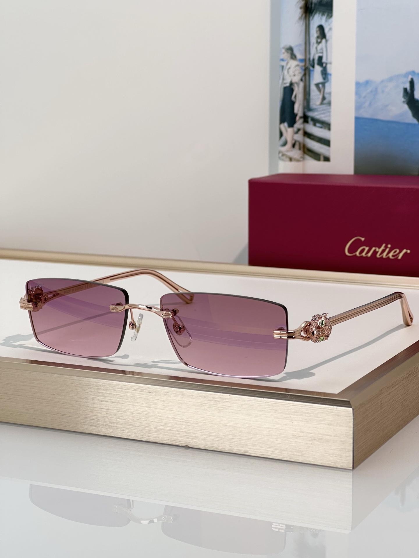 Designer Sunglasses CT0647S