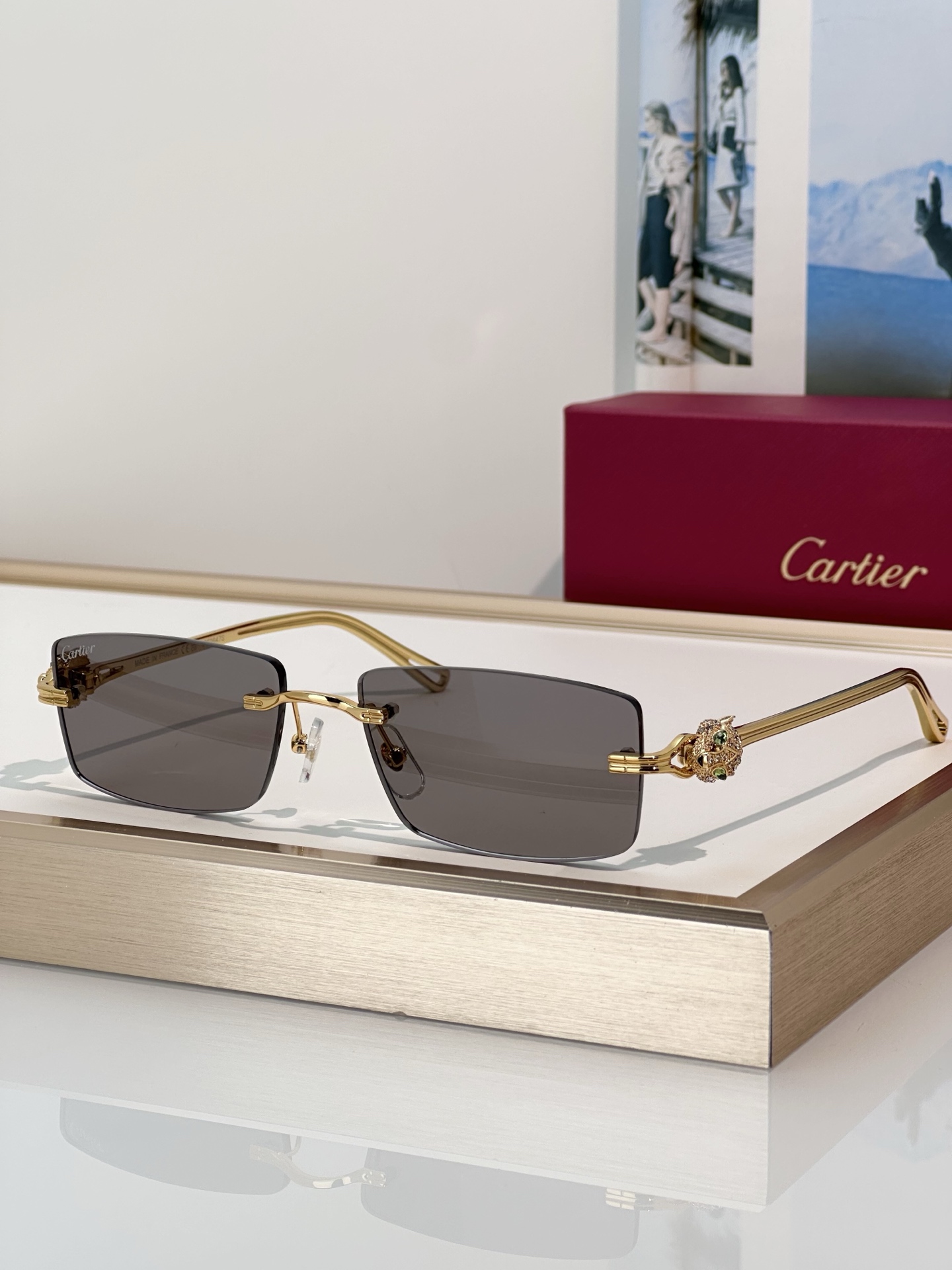 Designer Sunglasses CT0647S