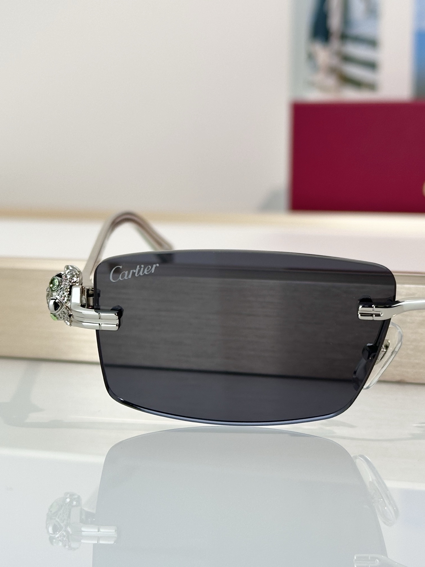 Designer Sunglasses CT0647S