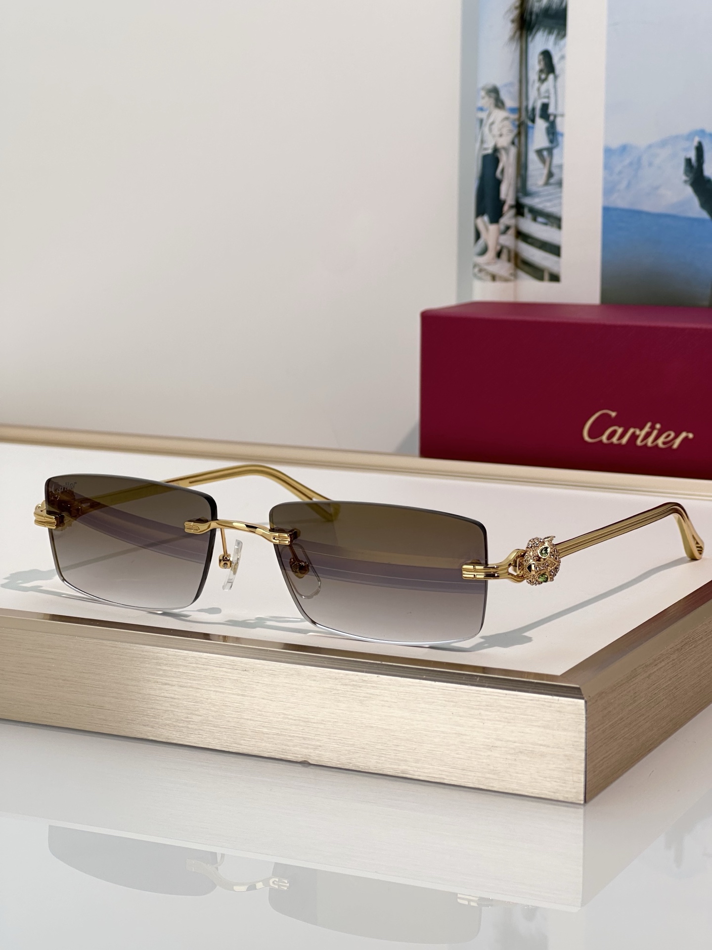 Designer Sunglasses CT0647S