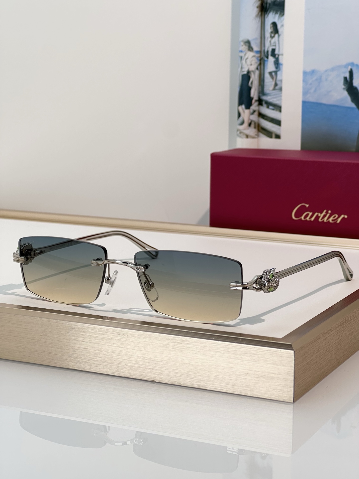 Designer Sunglasses CT0647S