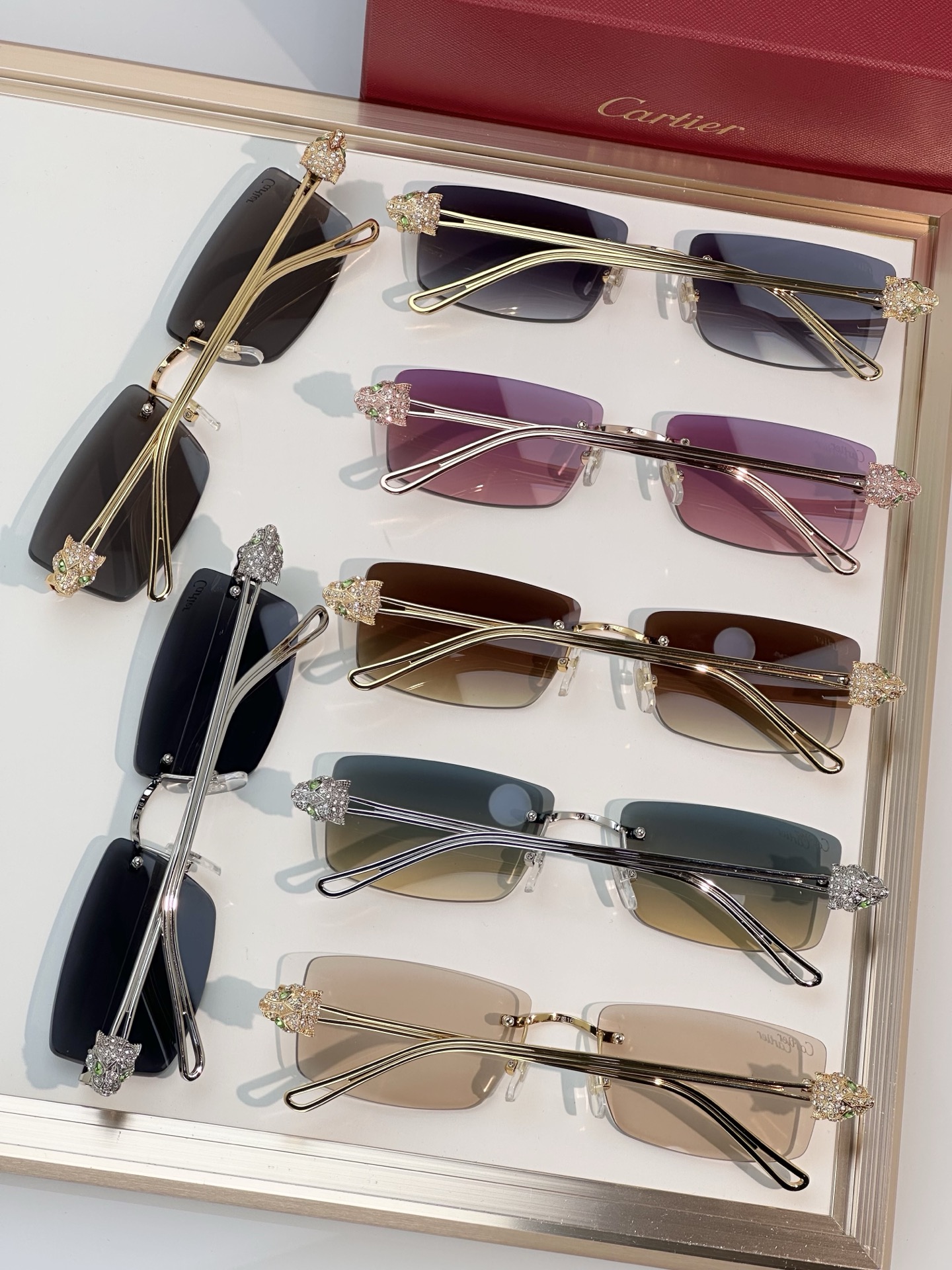 Designer Sunglasses CT0647S