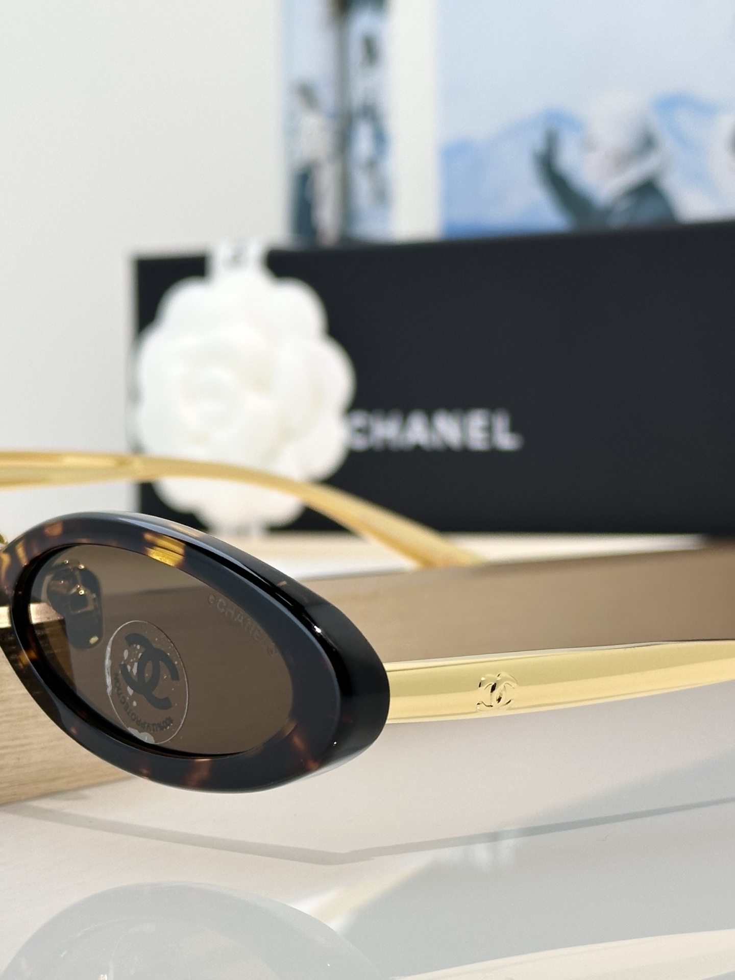 Chanel Sunglasses CH9209