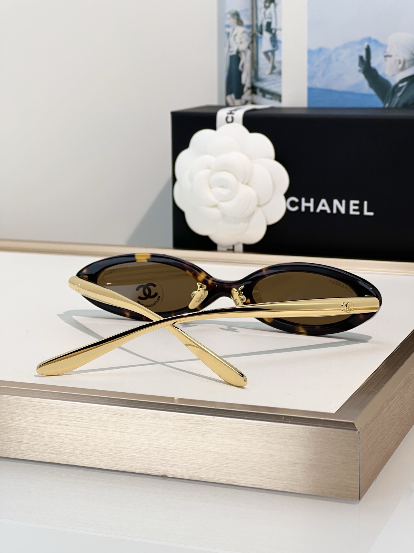 Chanel Sunglasses CH9209