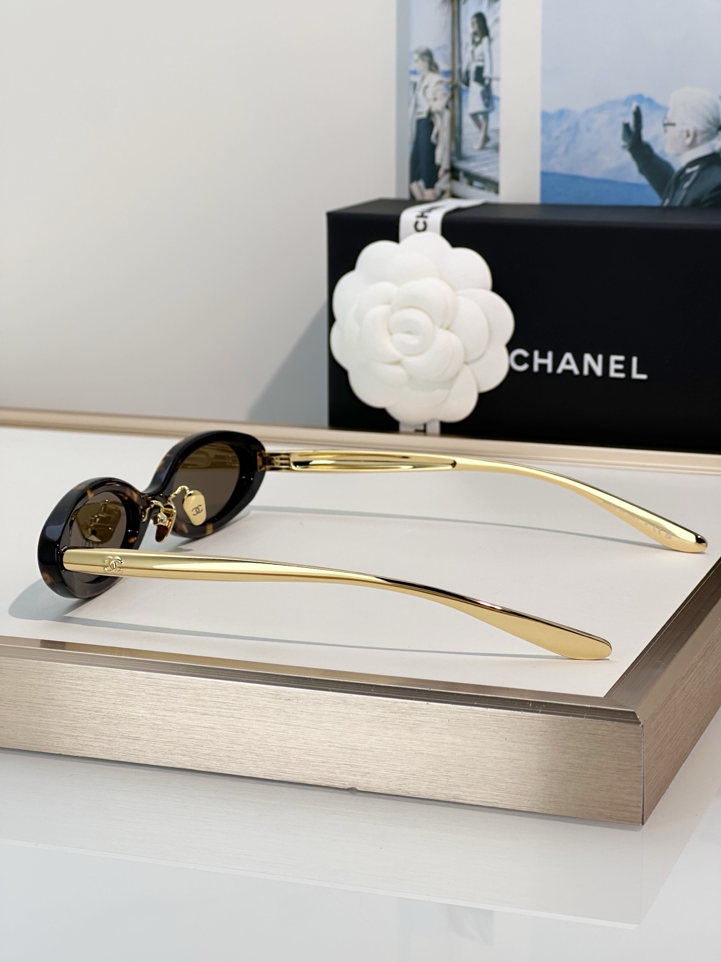 Chanel Sunglasses CH9209